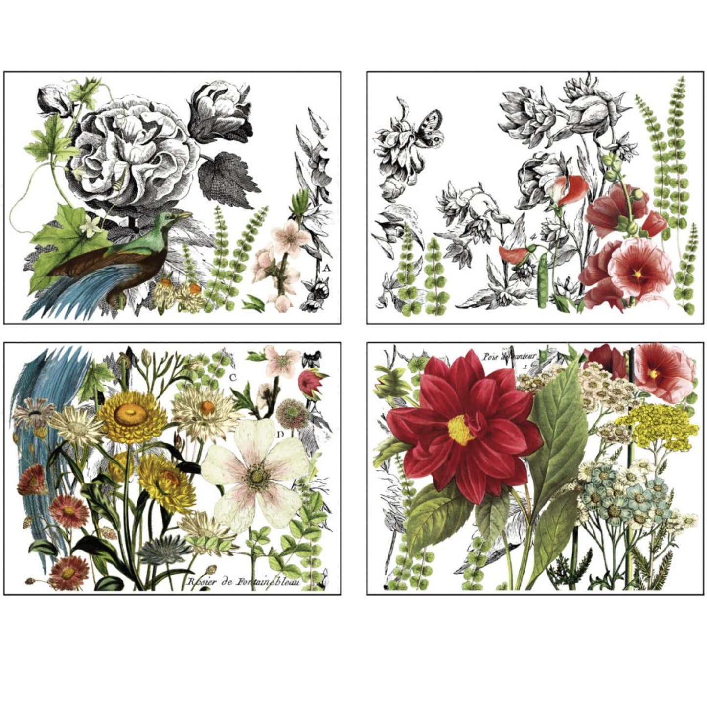 IOD Midnight Garden Decor Transfer - Iron Orchid Designs