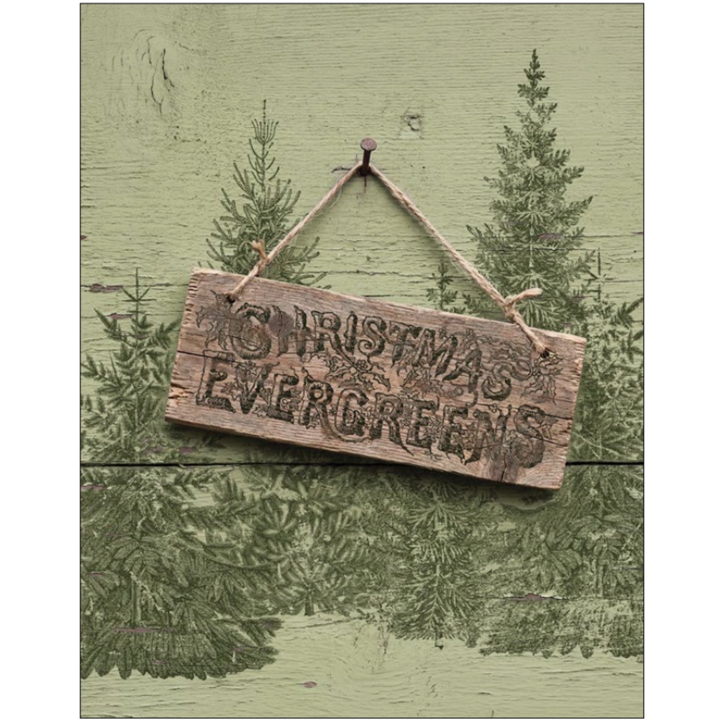 IOD Winter Grove Decor Stamp by Iron Orchid Designs - Winter 2026