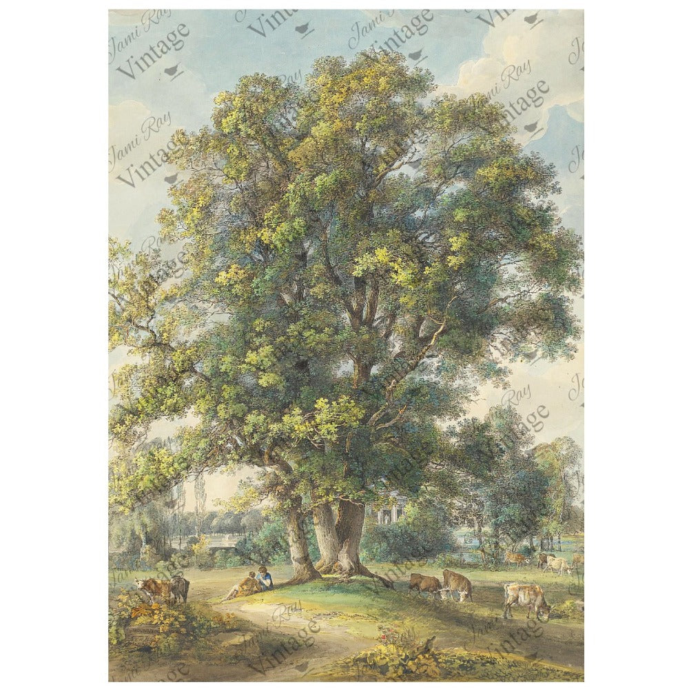 JRV A4 Rice Paper - Cows Under A Tree