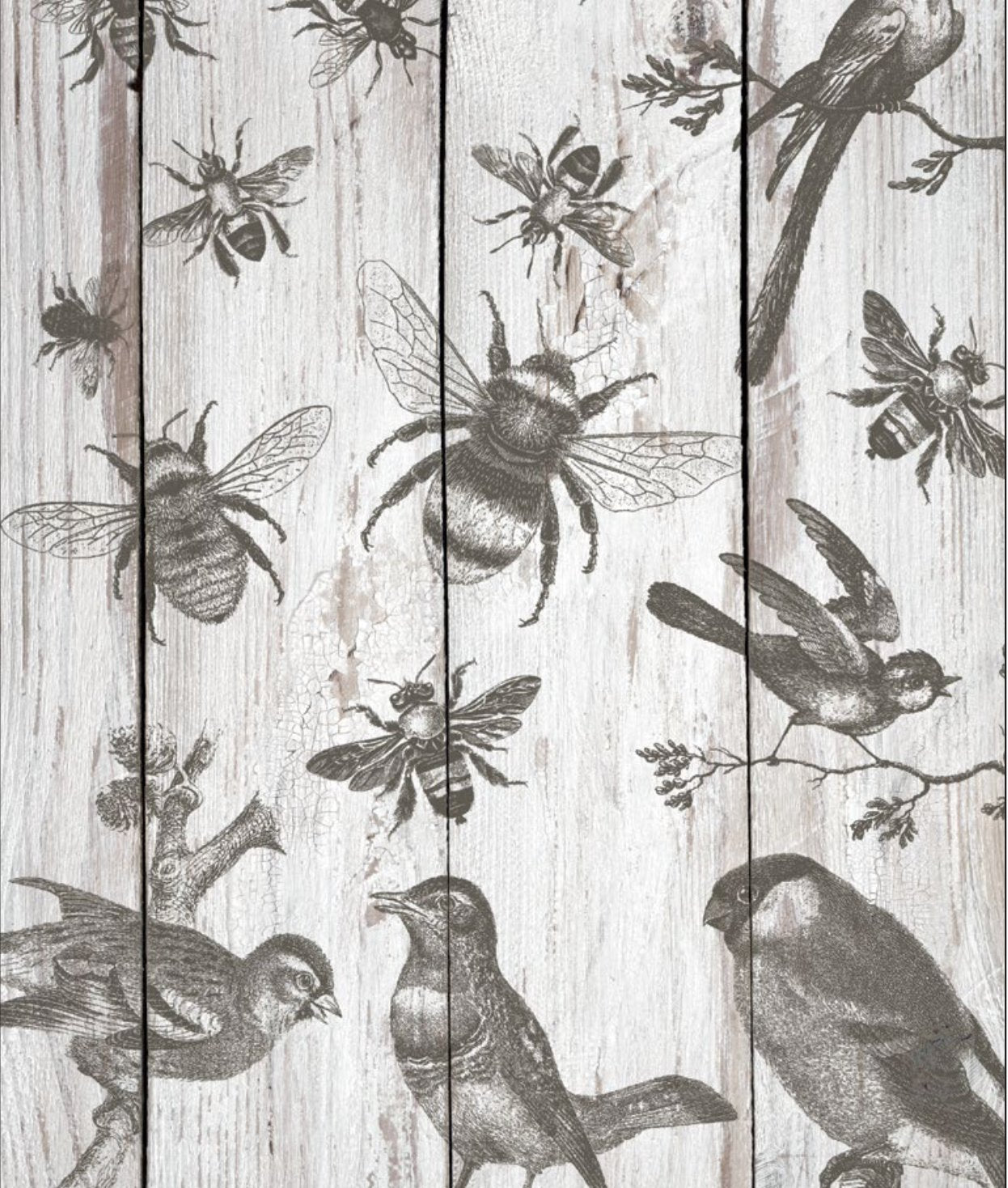 IOD Birds & Bees Decor Stamp - Iron Orchid Designs