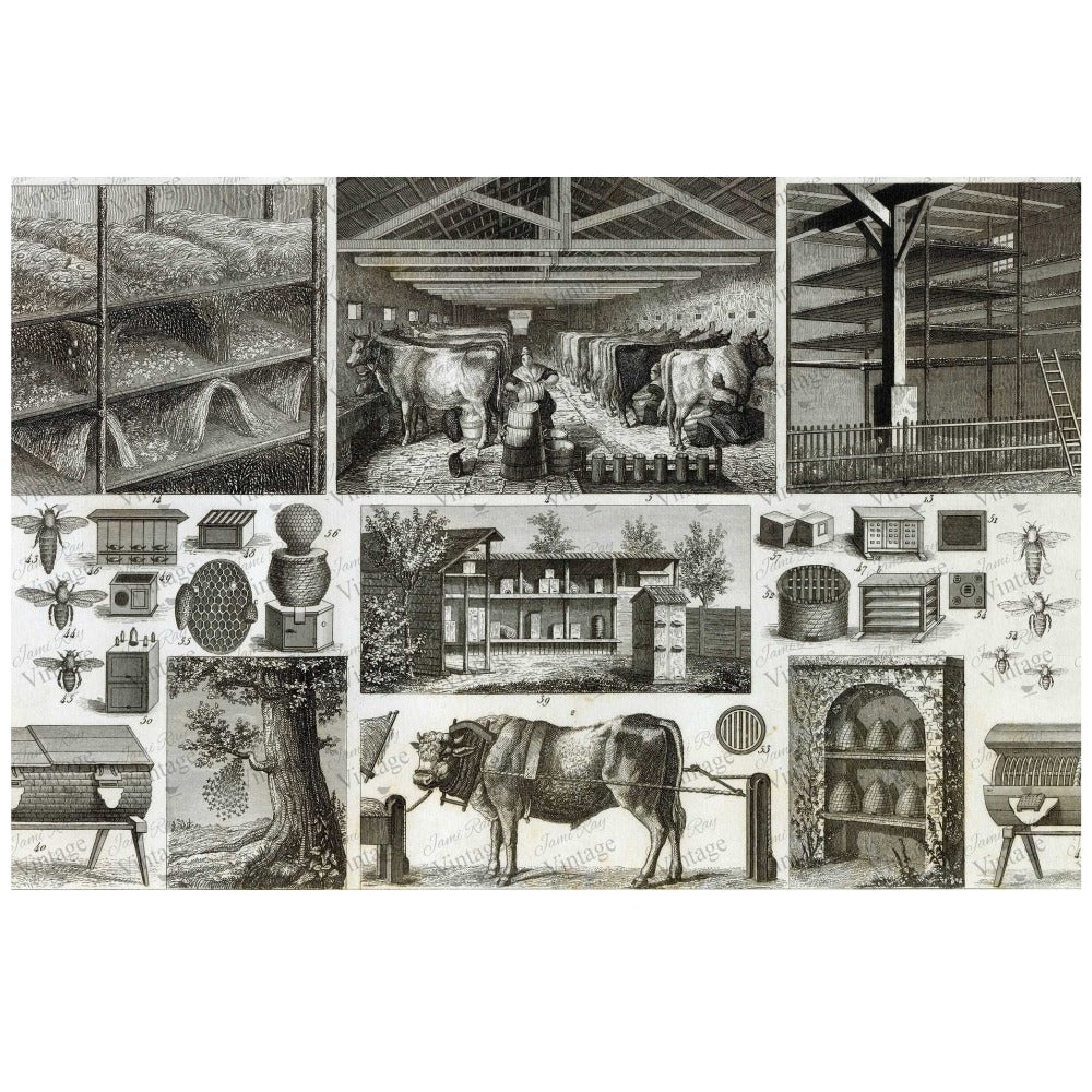 JRV Bee and Barn Decoupage Paper - Vintage Inspired Made in USA