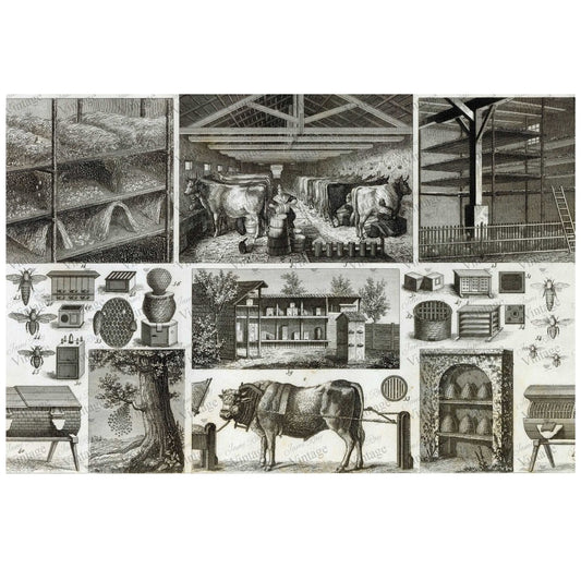 JRV Bee and Barn Decoupage Paper - Vintage Inspired Made in USA