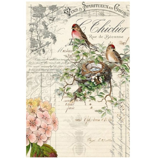 Roycycled Treasures Bird Ephemera Decoupage Paper - 20" x 30"