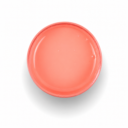 Paint Couture Caribbean Coral All in One Acrylic Mineral Paint