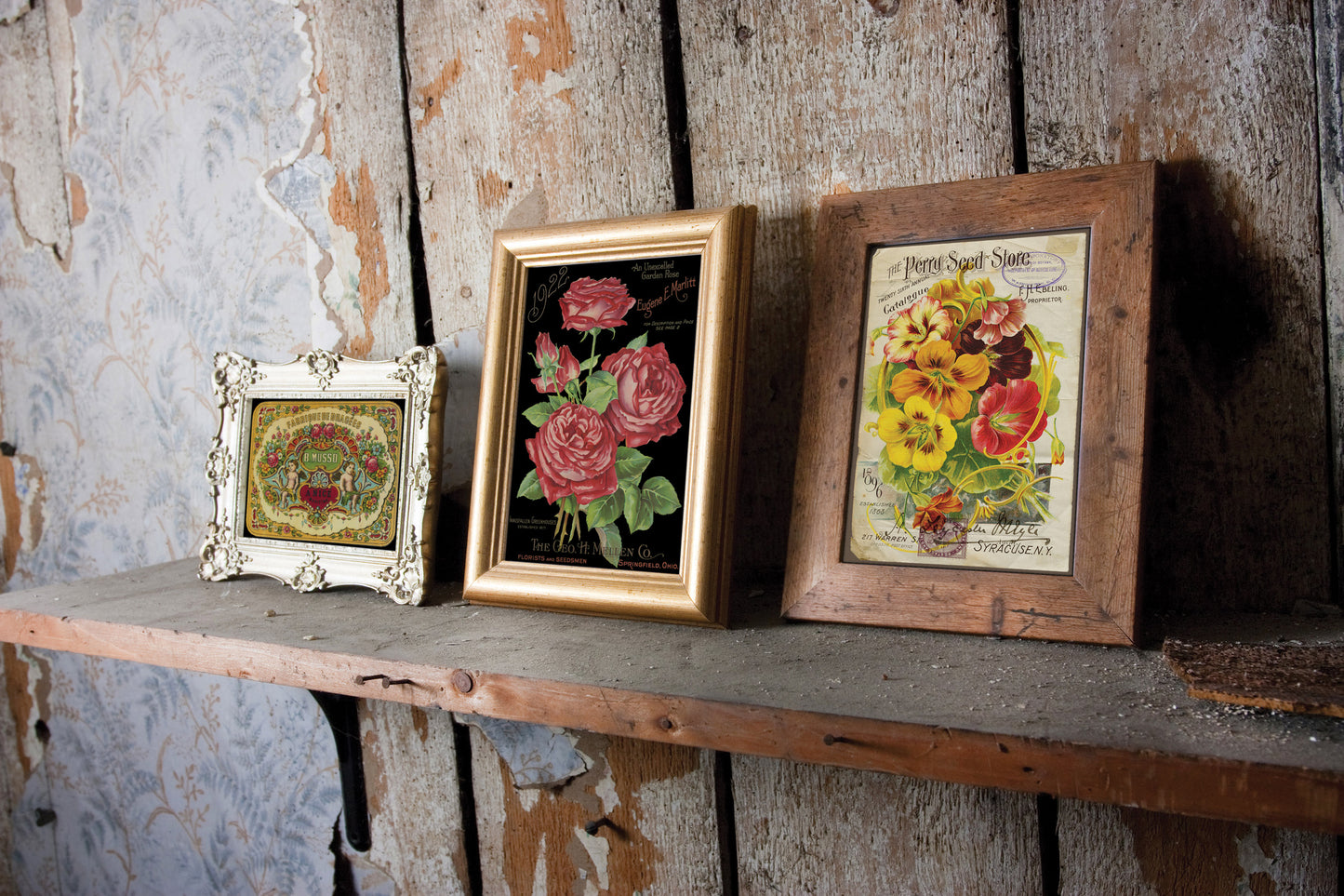 IOD Ephemeral Melange Decor Transfer - Iron Orchid Designs