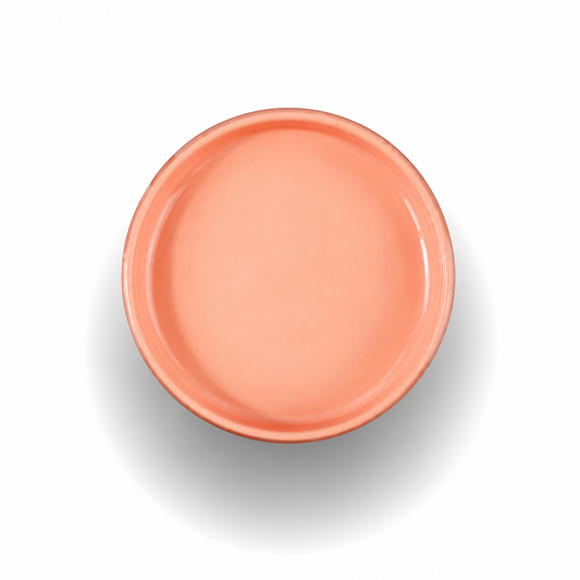 Paint Couture Coral Passion All-in-One Paint Chalk Style Paint