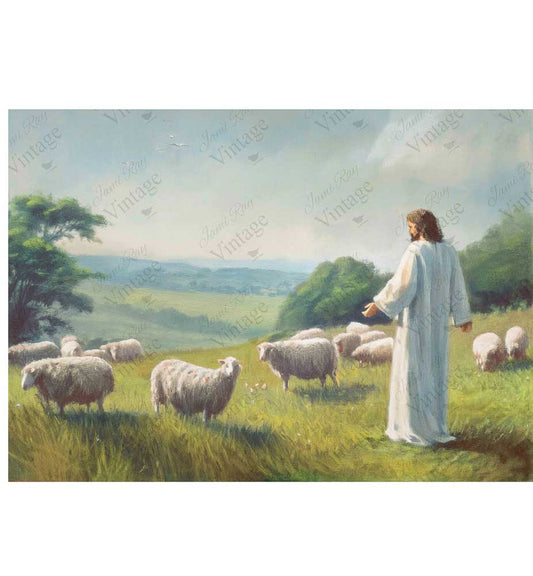 Good Shepherd A4 Rice Paper - JRV