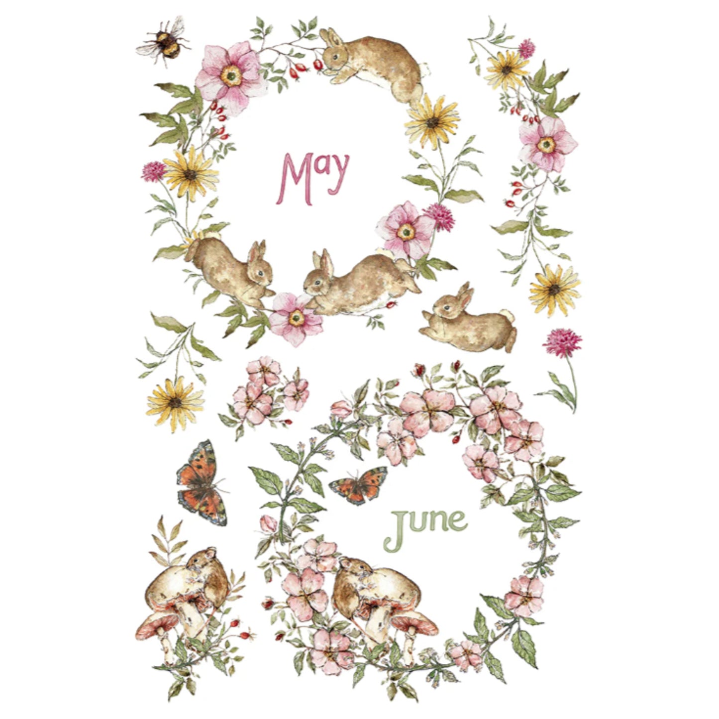 IOD The Bramblewood Diaries Decor Transfer by Iron Orchid Designs