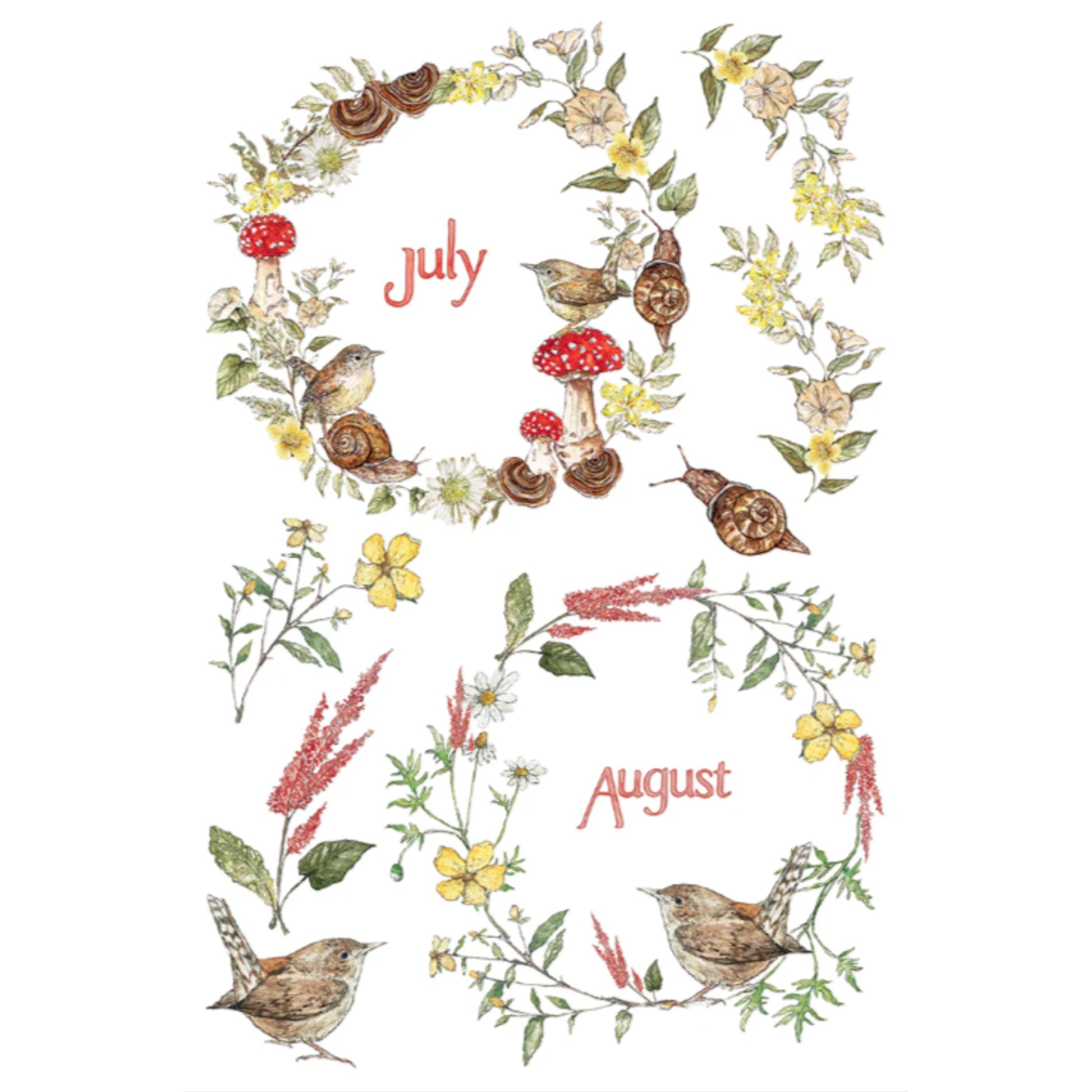 IOD The Bramblewood Diaries Decor Transfer by Iron Orchid Designs
