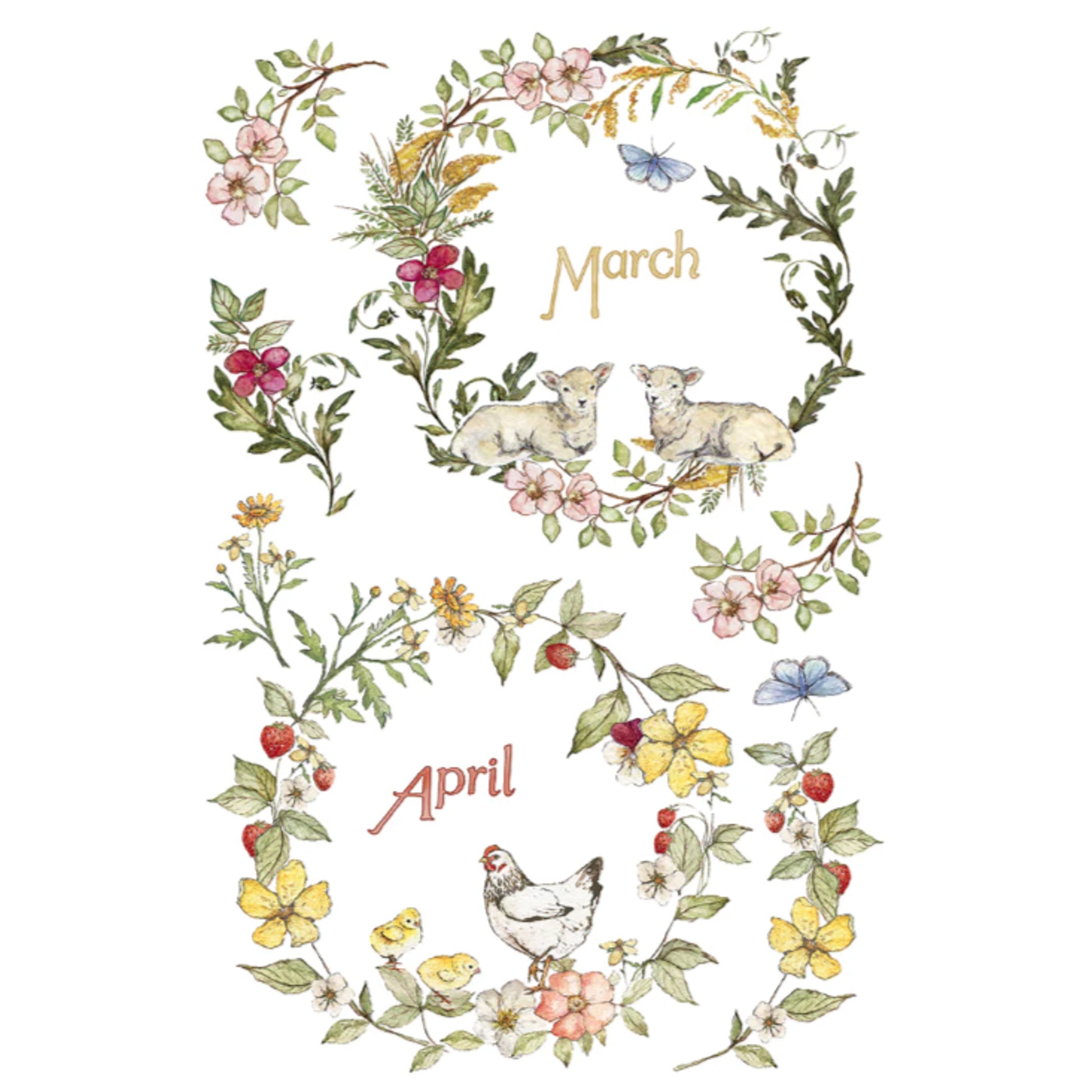 IOD The Bramblewood Diaries Decor Transfer by Iron Orchid Designs