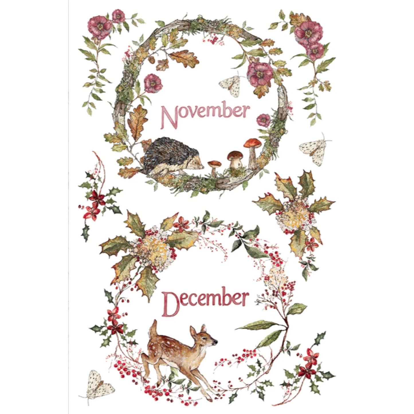 IOD The Bramblewood Diaries Decor Transfer by Iron Orchid Designs