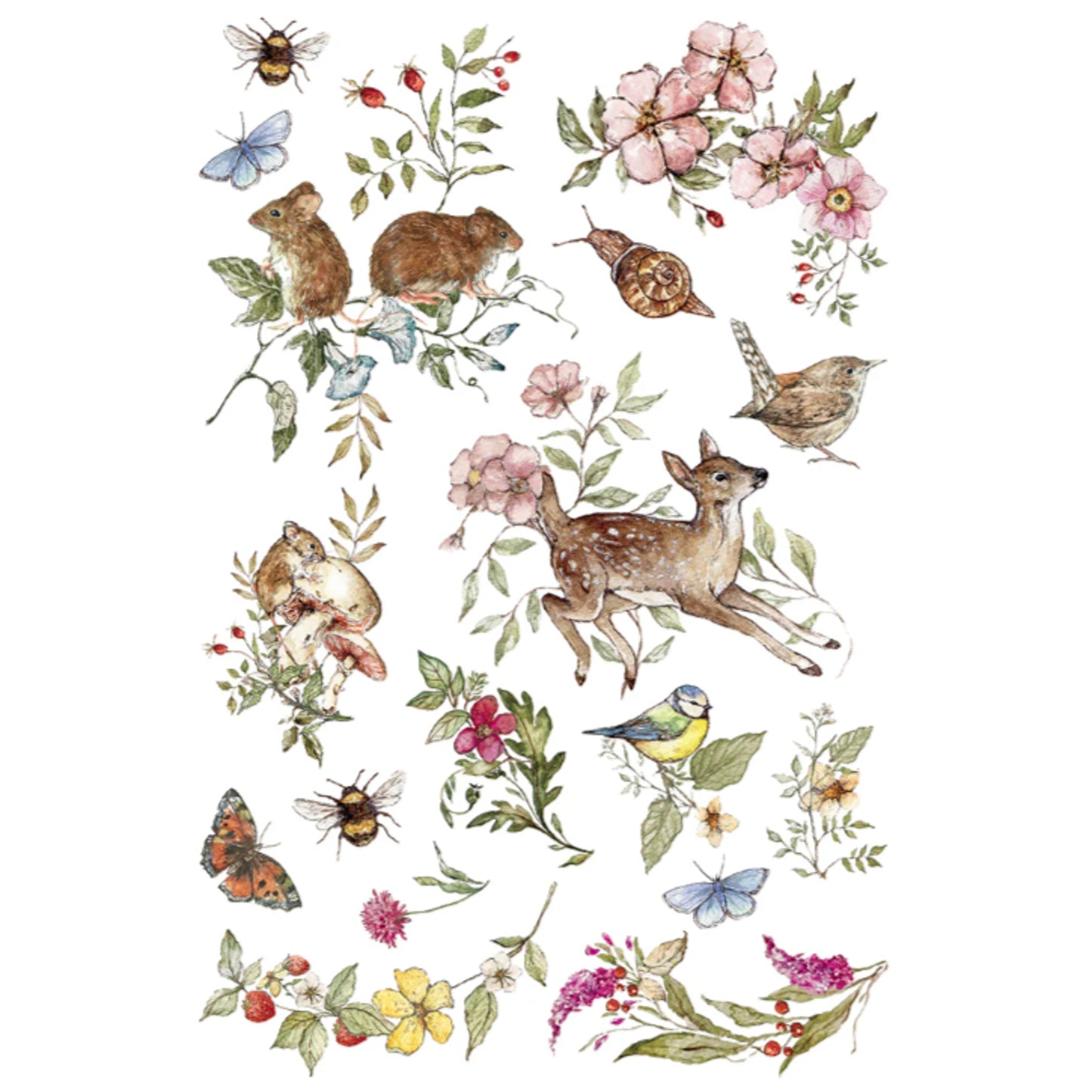 IOD The Bramblewood Diaries Decor Transfer by Iron Orchid Designs