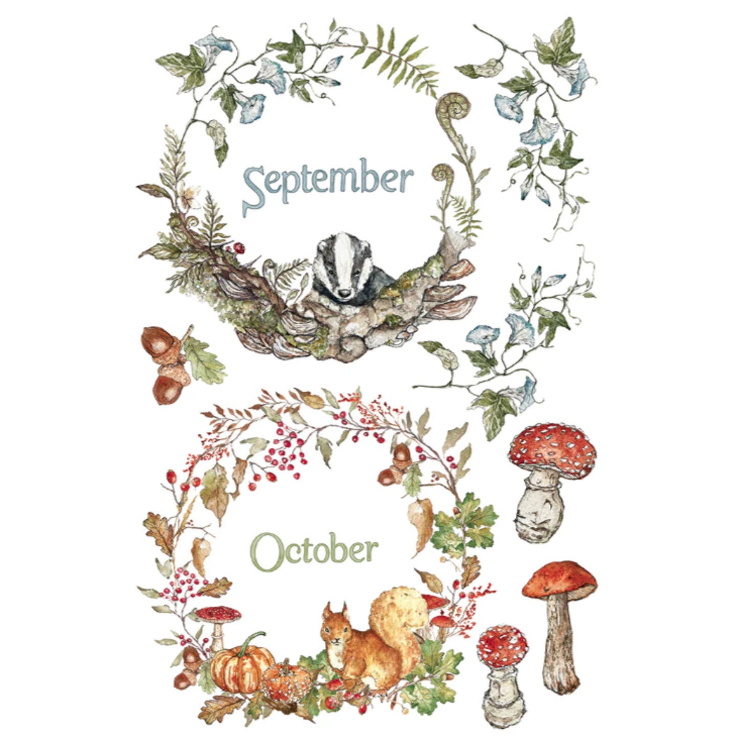 IOD The Bramblewood Diaries Decor Transfer by Iron Orchid Designs