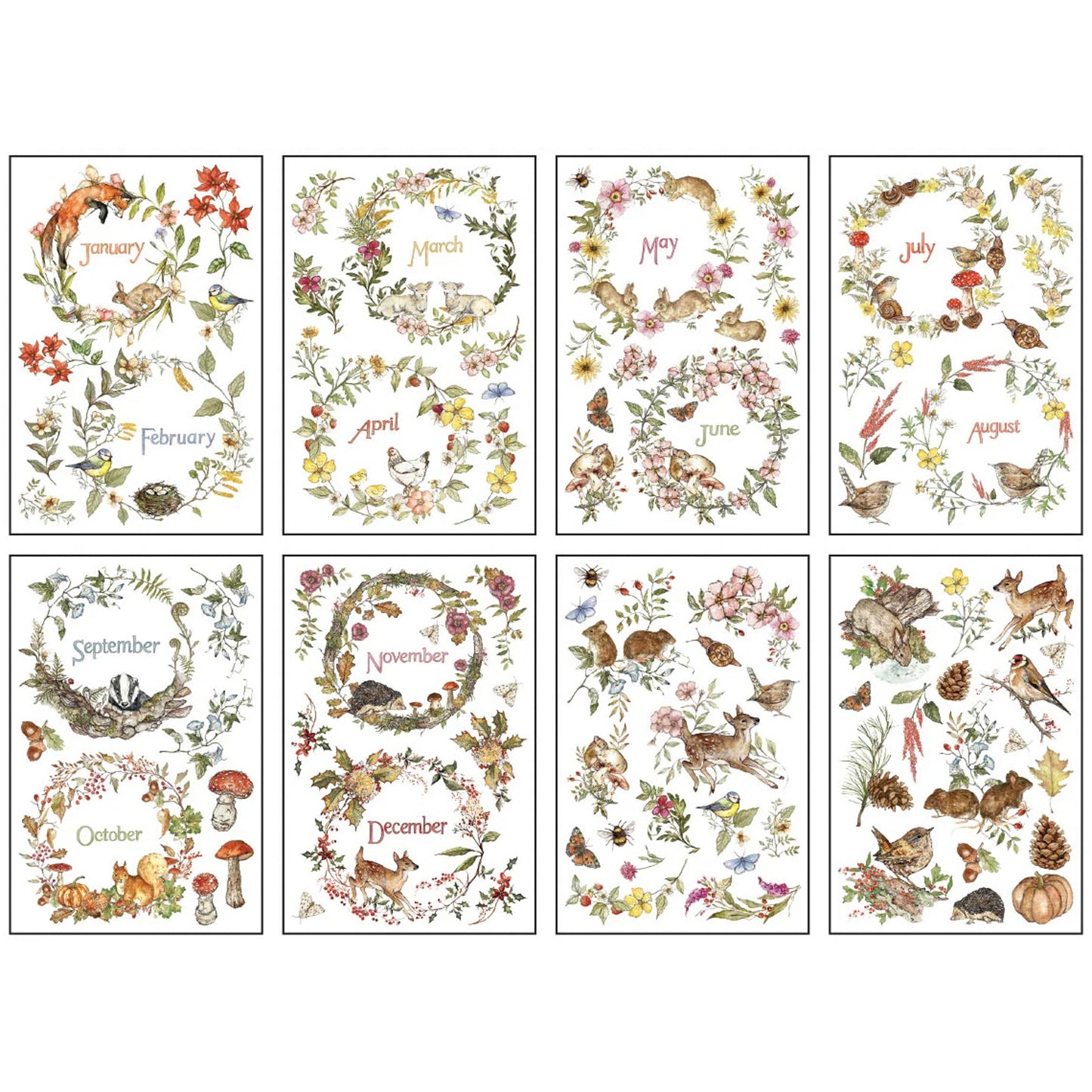 IOD The Bramblewood Diaries Decor Transfer by Iron Orchid Designs