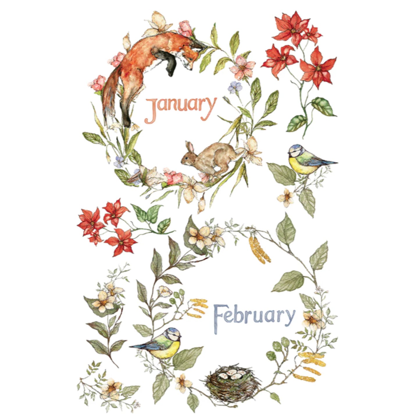 IOD The Bramblewood Diaries Decor Transfer by Iron Orchid Designs