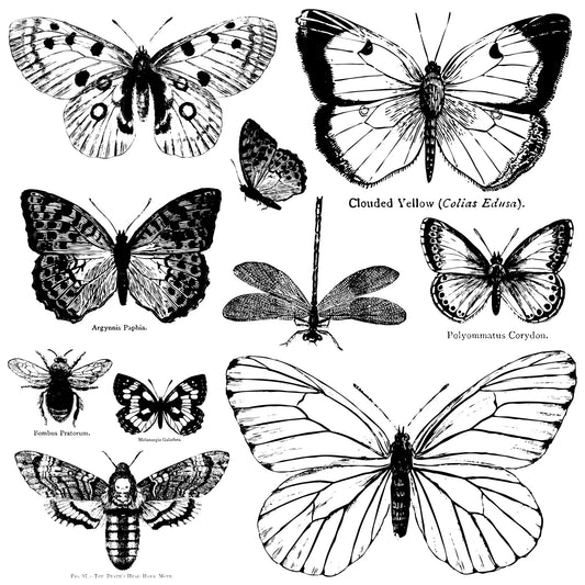 IOD Butterflies Decor Stamp by Iron Orchid Designs - 12"x12" Silicone