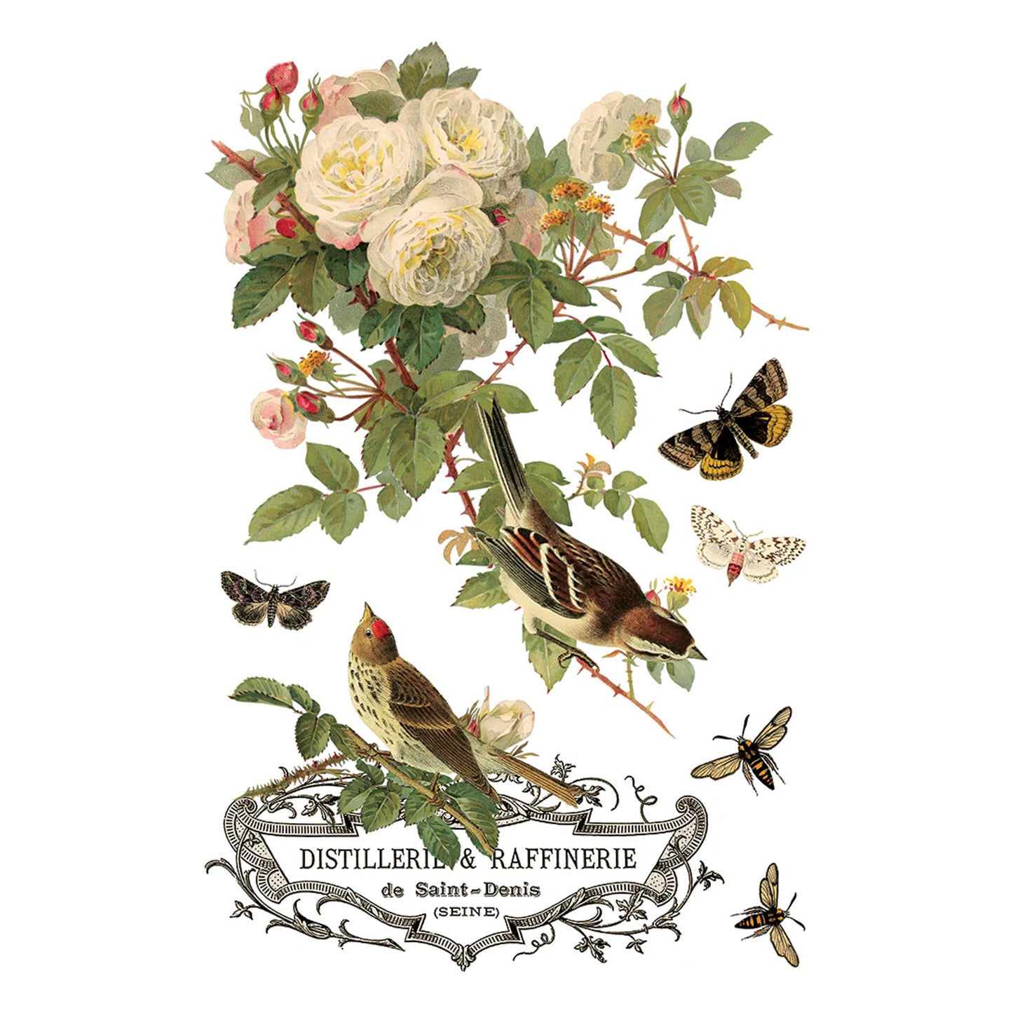 IOD By Any Other Name Decor Transfer by Iron Orchid Designs 2026