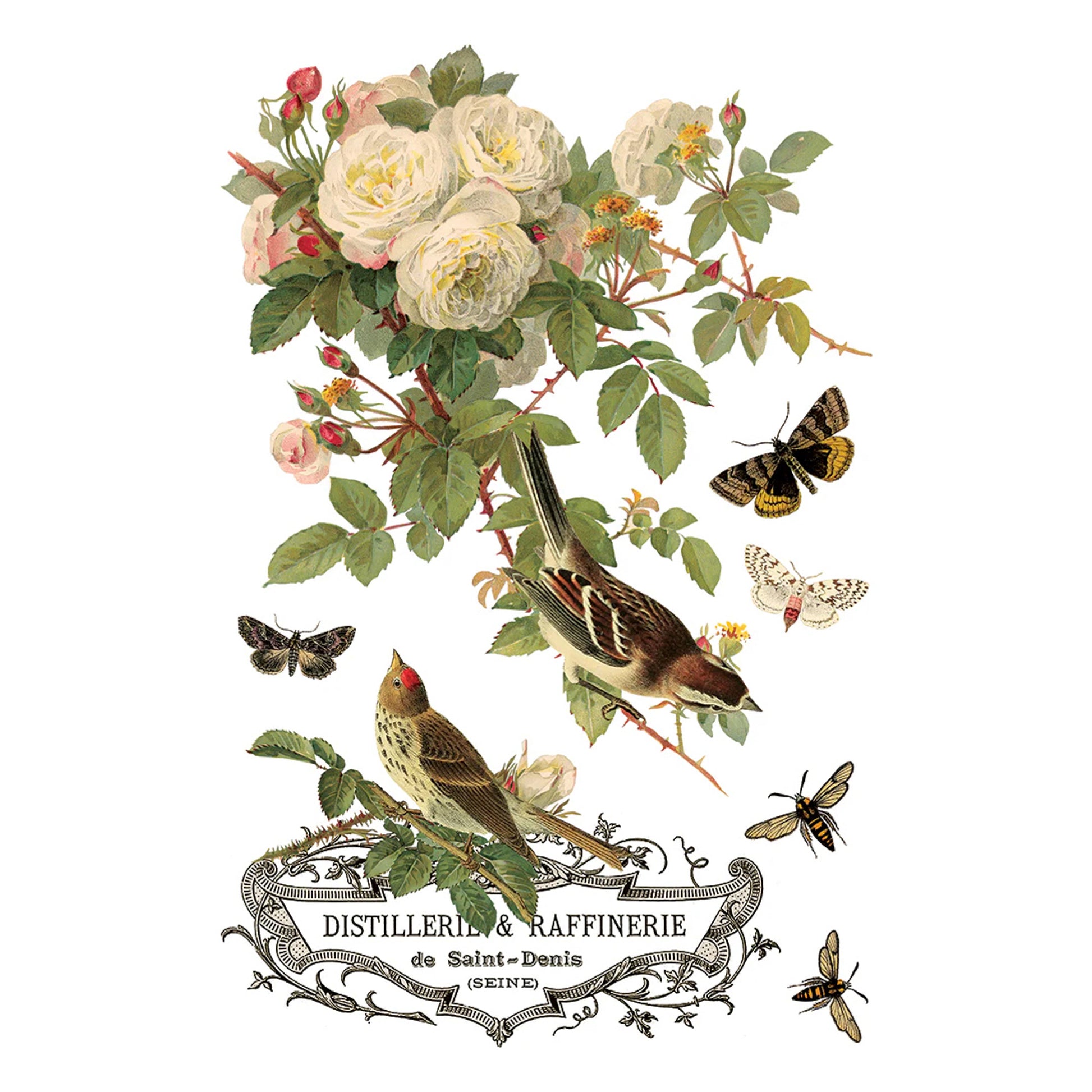 IOD By Any Other Name Decor Transfer by Iron Orchid Designs 2026