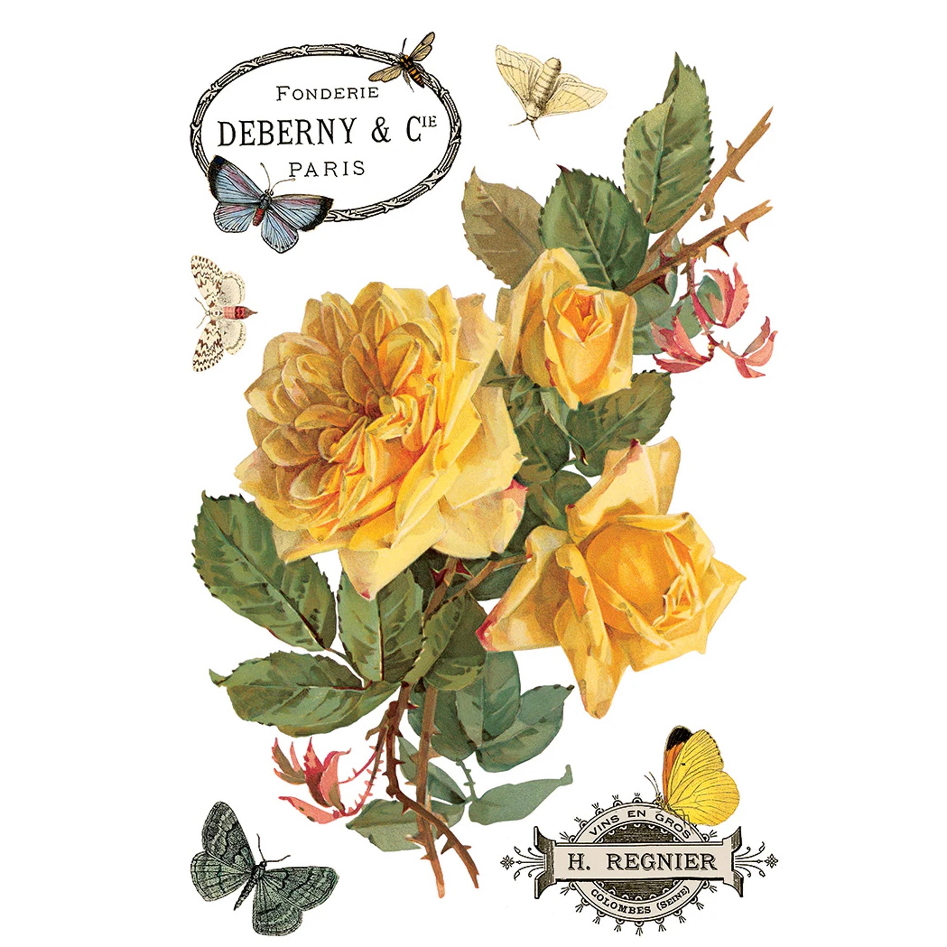 IOD By Any Other Name Decor Transfer by Iron Orchid Designs 2026