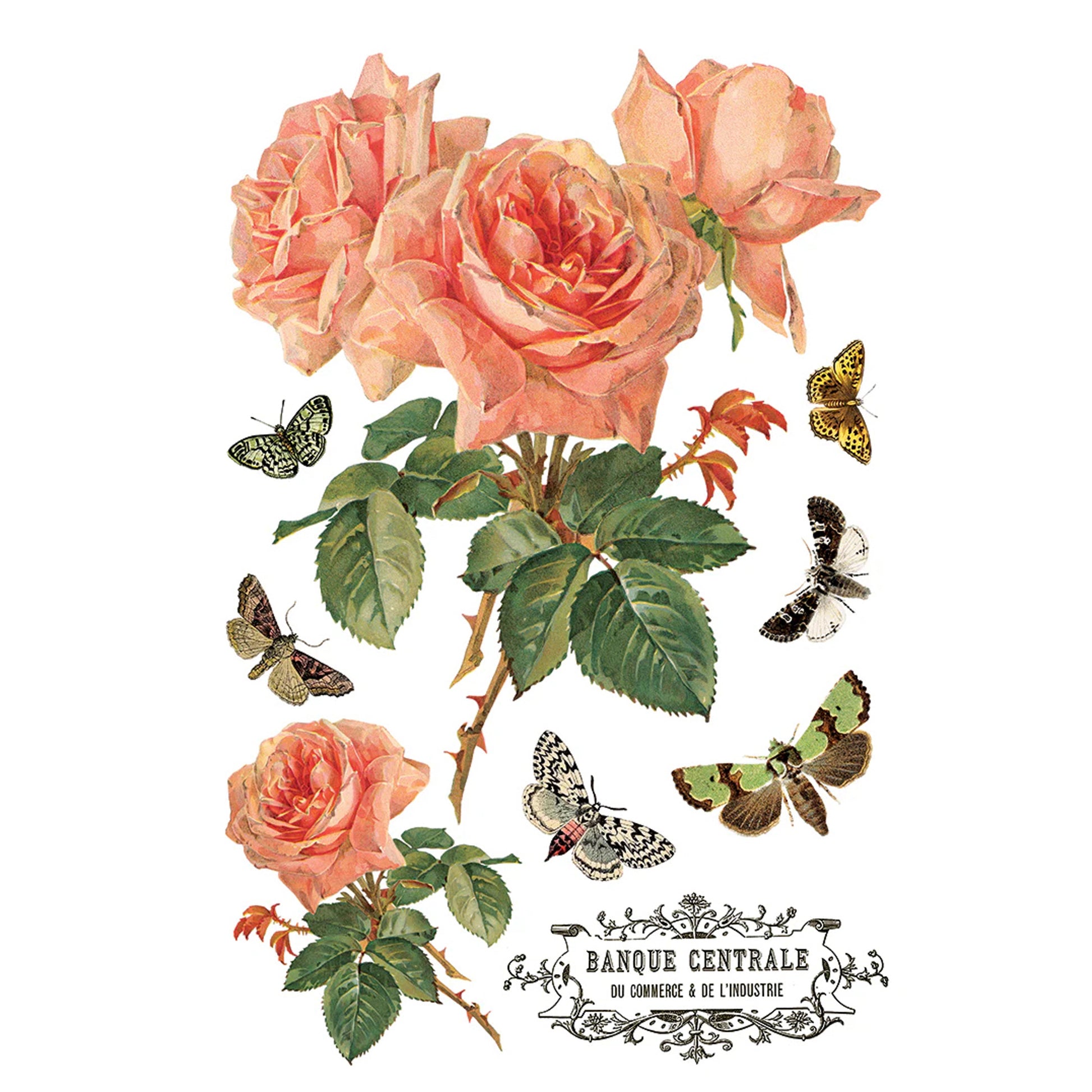 IOD By Any Other Name Decor Transfer by Iron Orchid Designs 2026