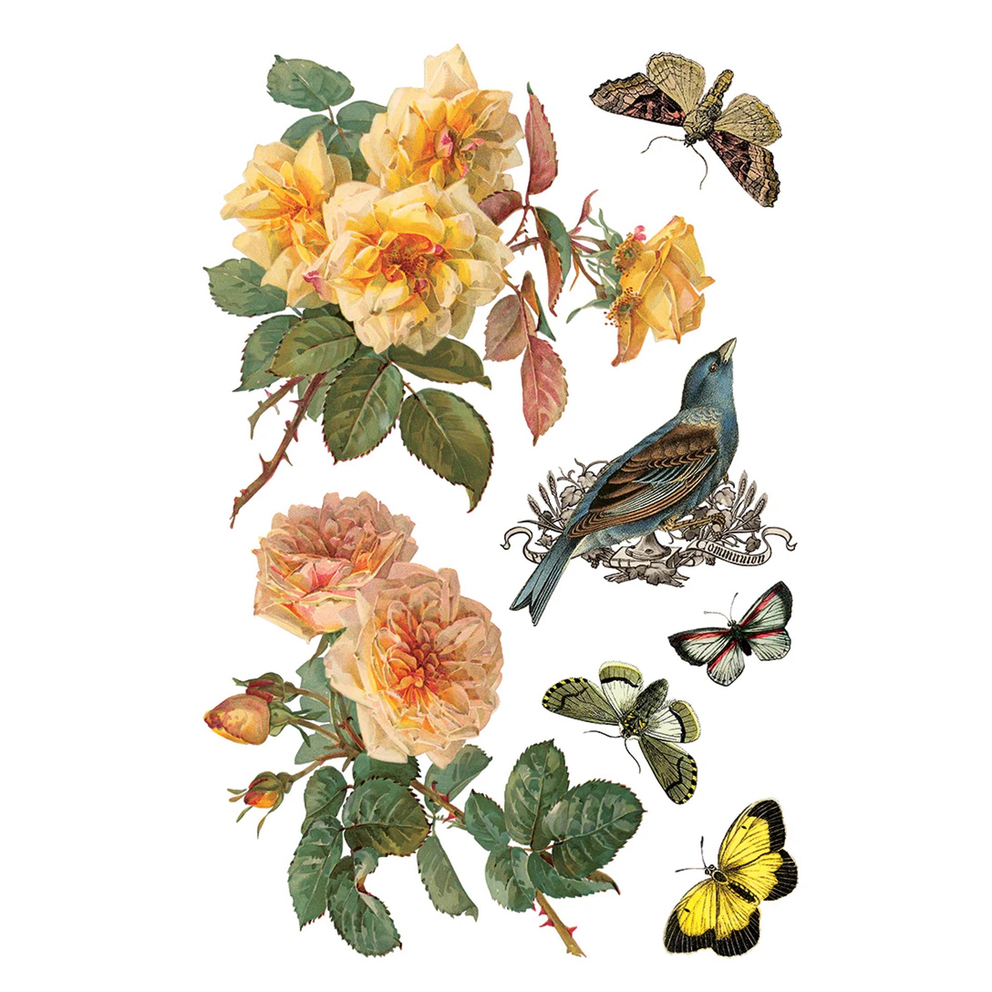 IOD By Any Other Name Decor Transfer by Iron Orchid Designs 2026