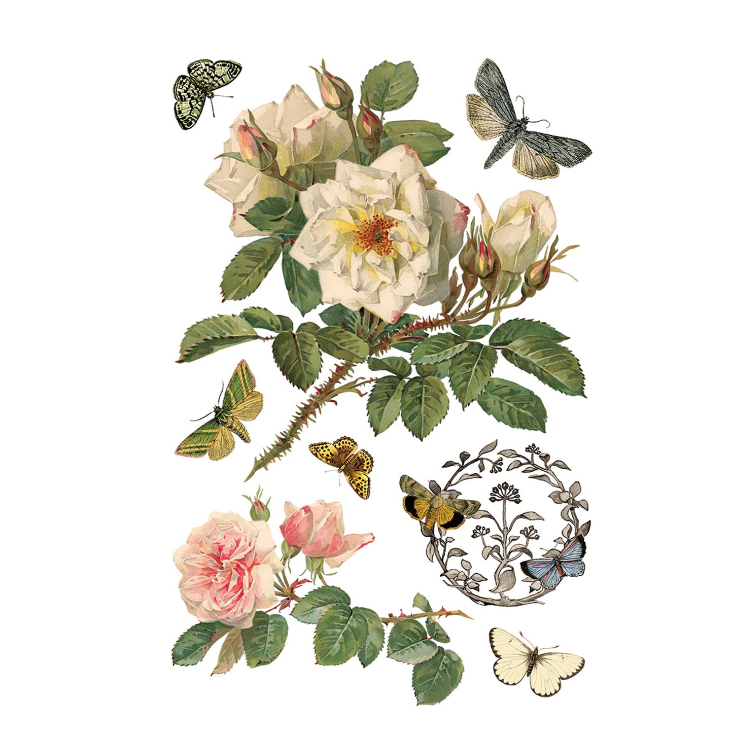 IOD By Any Other Name Decor Transfer by Iron Orchid Designs 2026