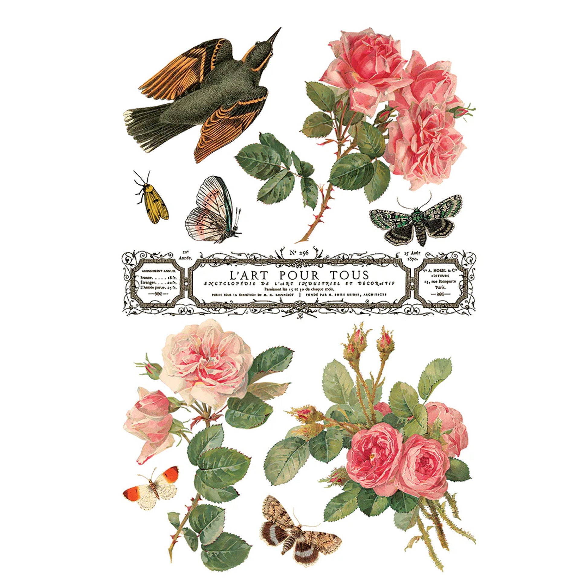 IOD By Any Other Name Decor Transfer by Iron Orchid Designs 2026