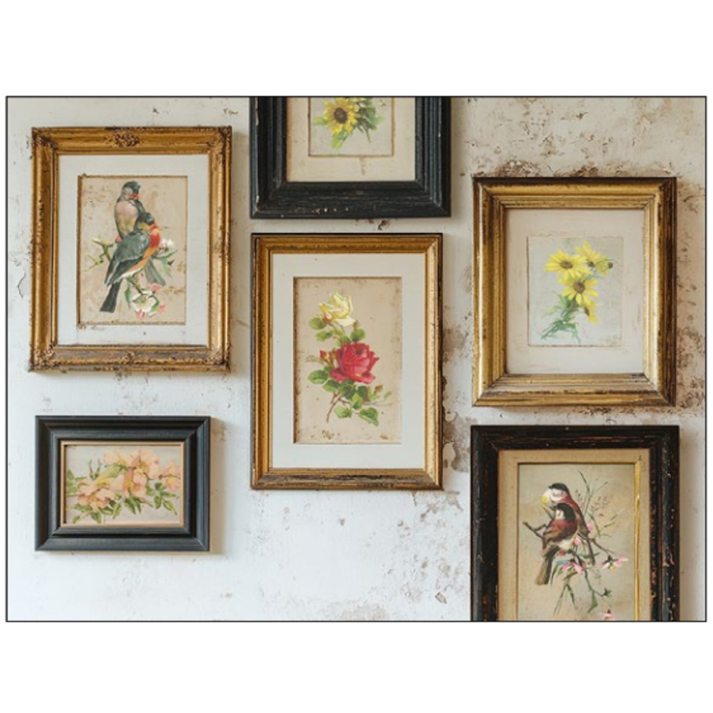 IOD Catharina Decor Transfer - Iron Orchid Designs