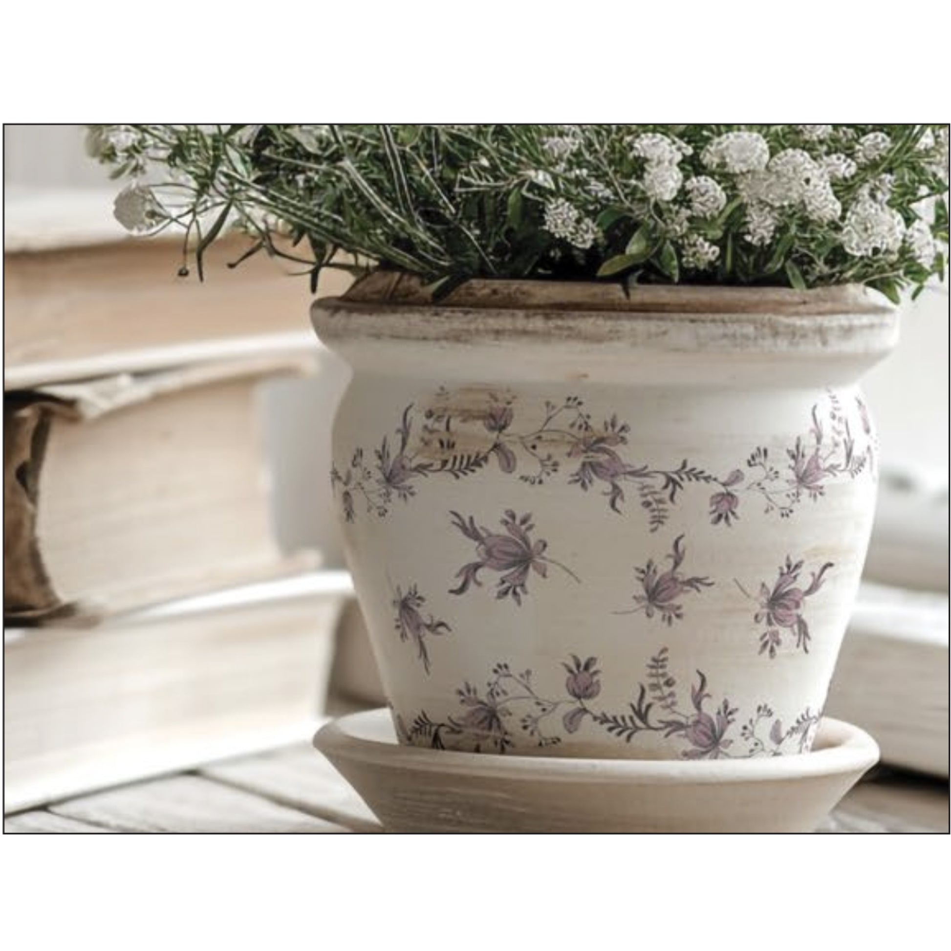 IOD Fairytale Florals Decor Transfer - Iron Orchid Designs