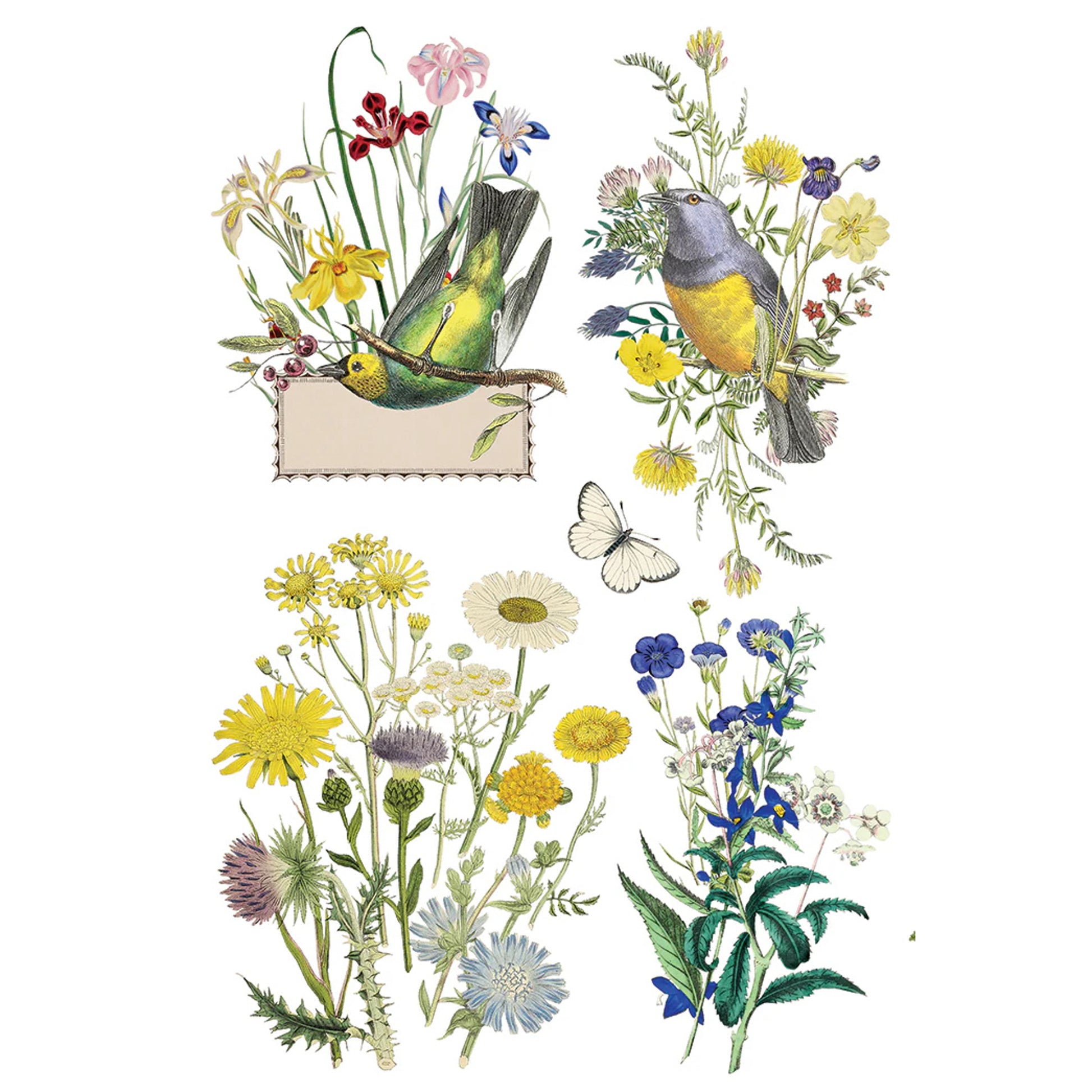 IOD Flora Greca Decor Transfer by Iron Orchid Designs Spring 2026