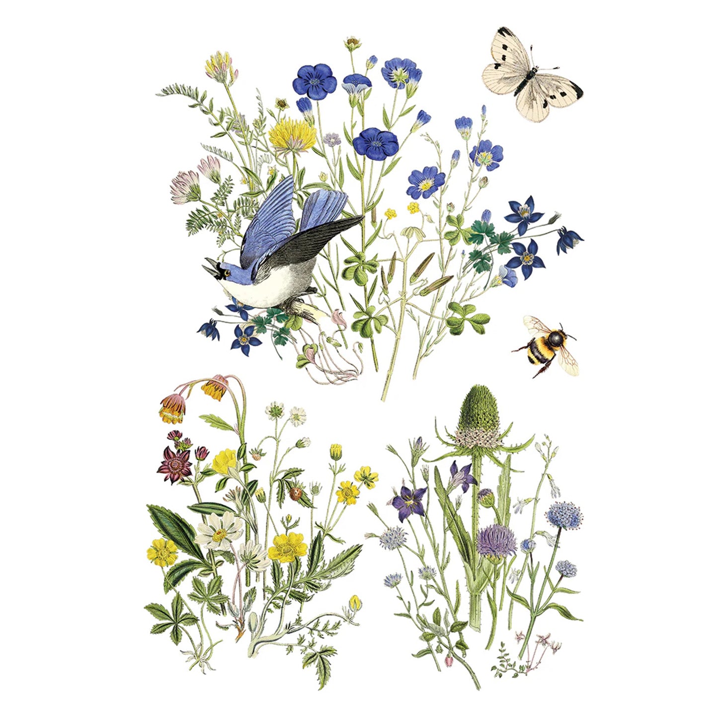 IOD Flora Greca Decor Transfer by Iron Orchid Designs Spring 2026