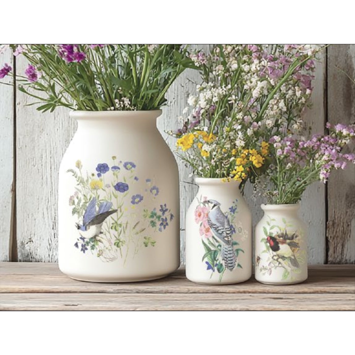 IOD Flora Greca Decor Transfer by Iron Orchid Designs Spring 2026