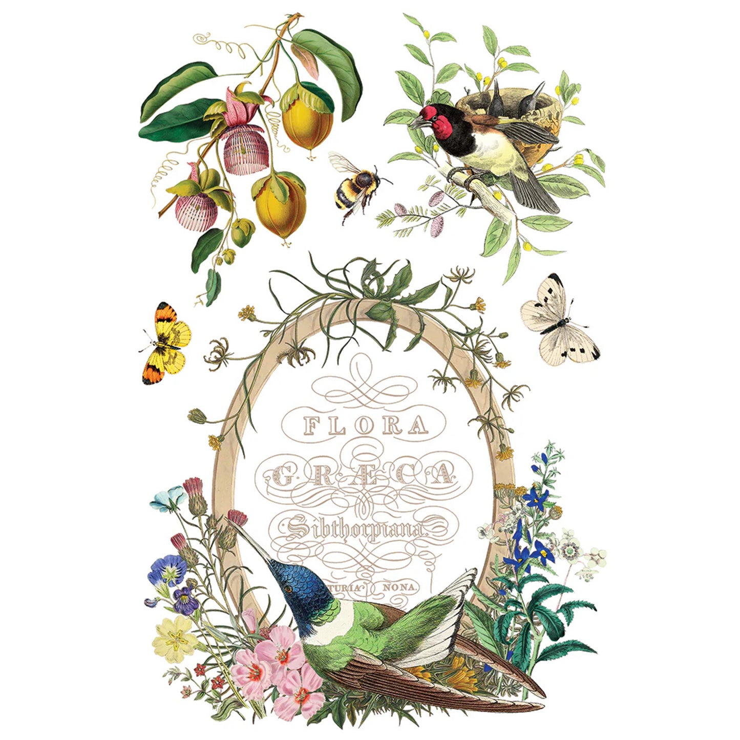 IOD Flora Greca Decor Transfer by Iron Orchid Designs Spring 2026