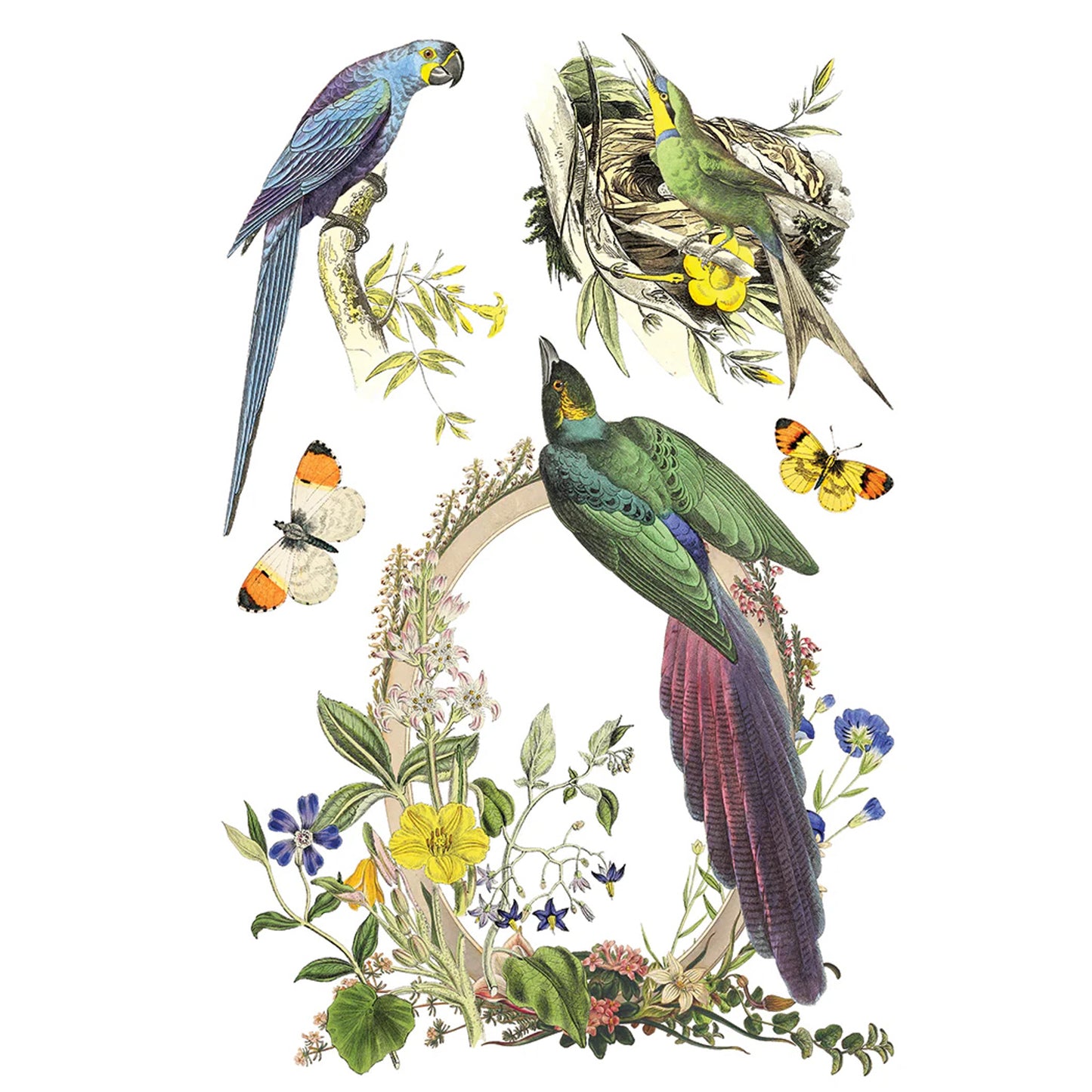 IOD Flora Greca Decor Transfer by Iron Orchid Designs Spring 2026