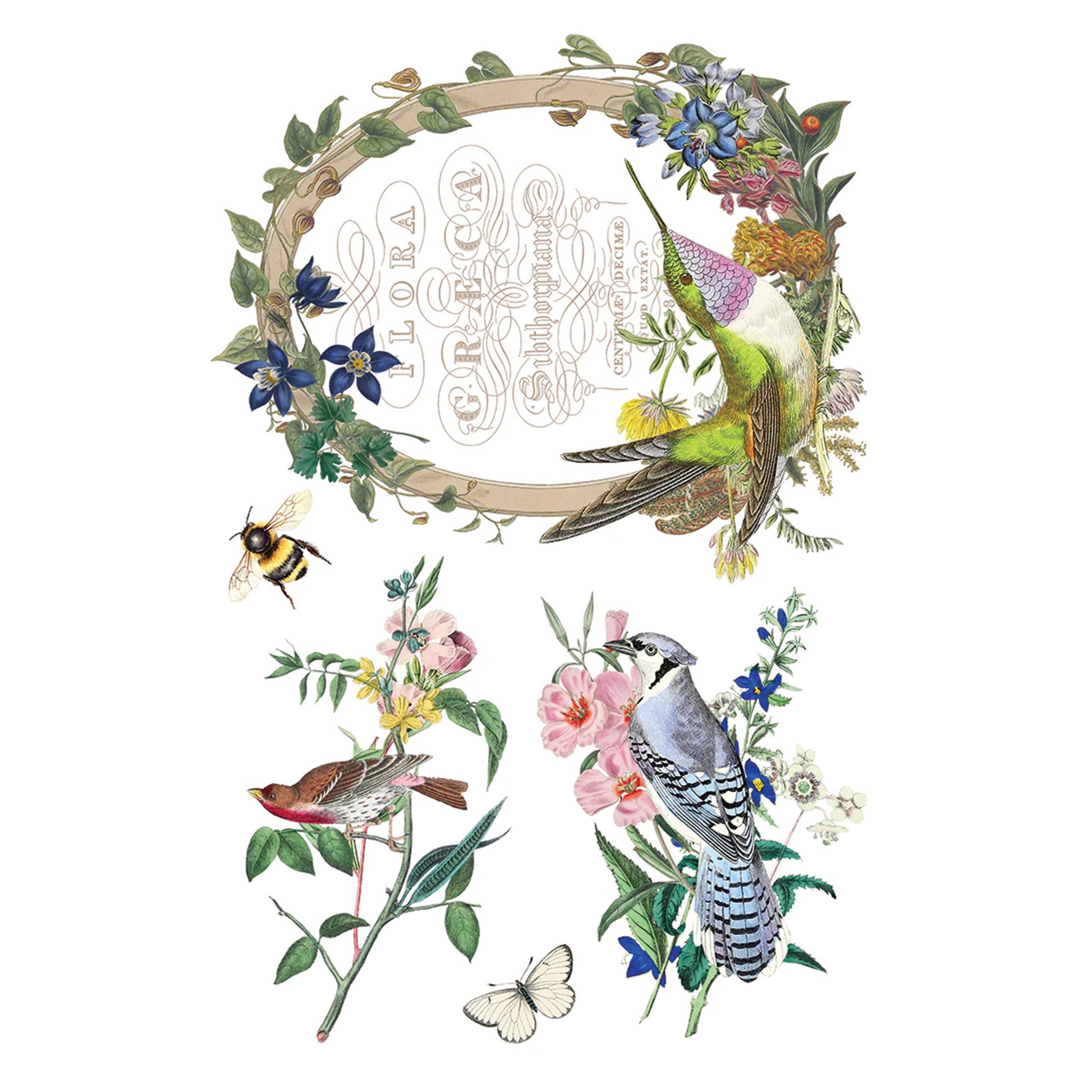 IOD Flora Greca Decor Transfer by Iron Orchid Designs Spring 2026