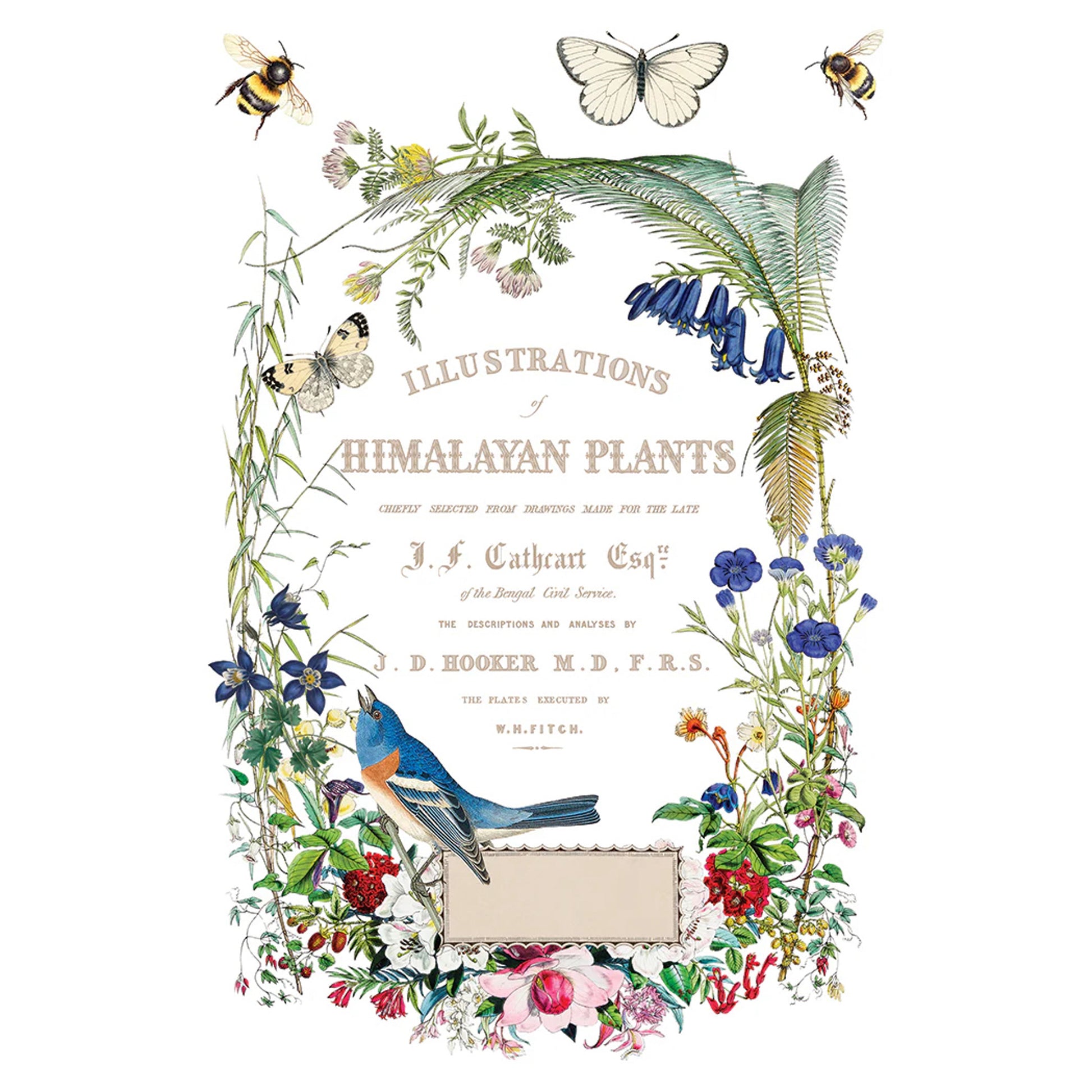 IOD Flora Greca Decor Transfer by Iron Orchid Designs Spring 2026