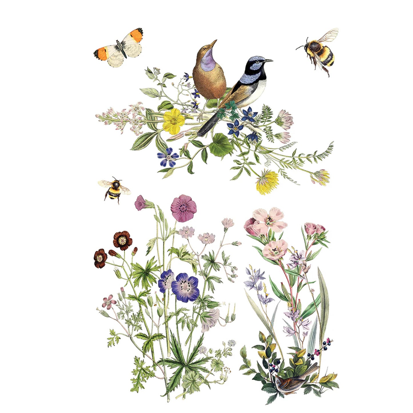 IOD Flora Greca Decor Transfer by Iron Orchid Designs Spring 2026