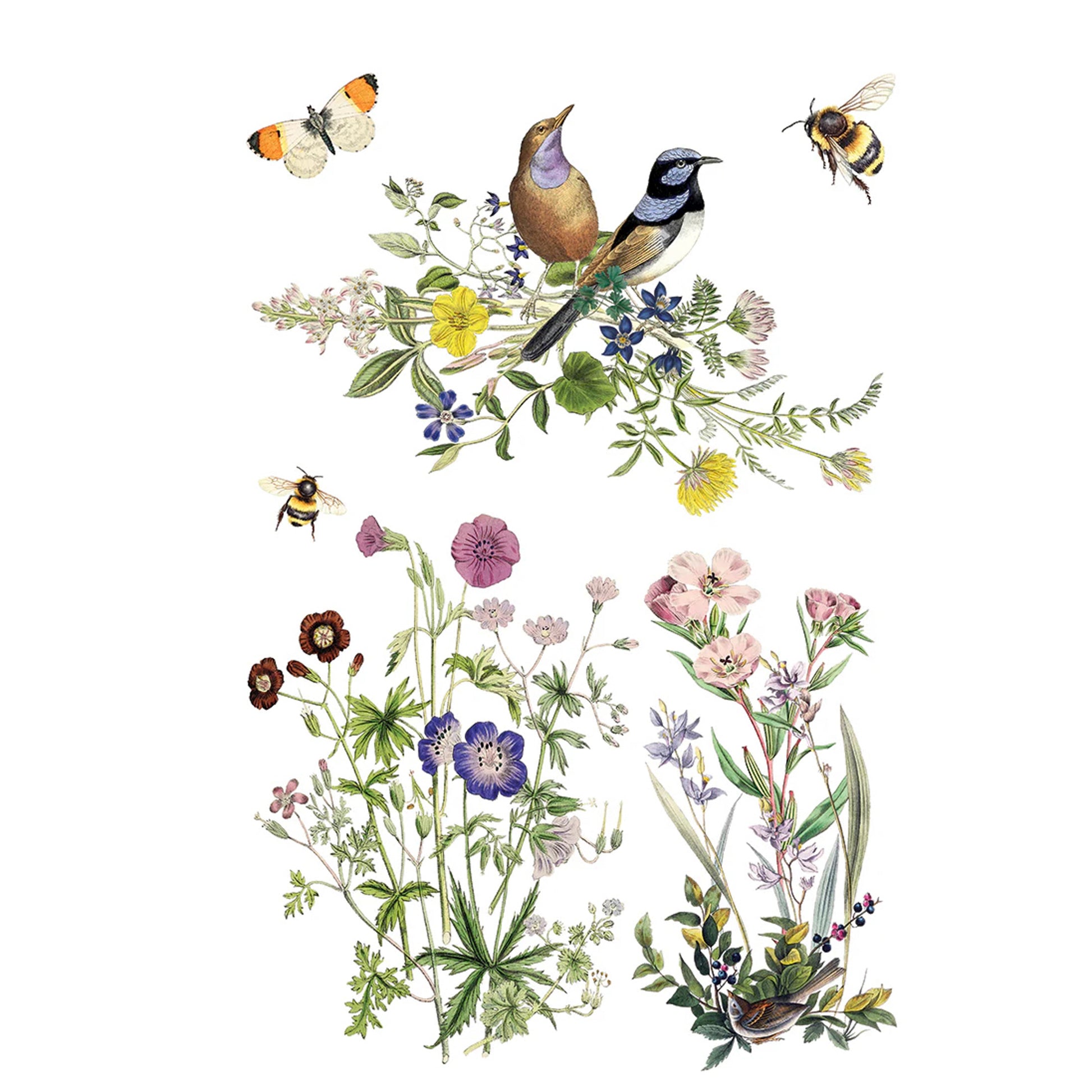 IOD Flora Greca Decor Transfer by Iron Orchid Designs Spring 2026