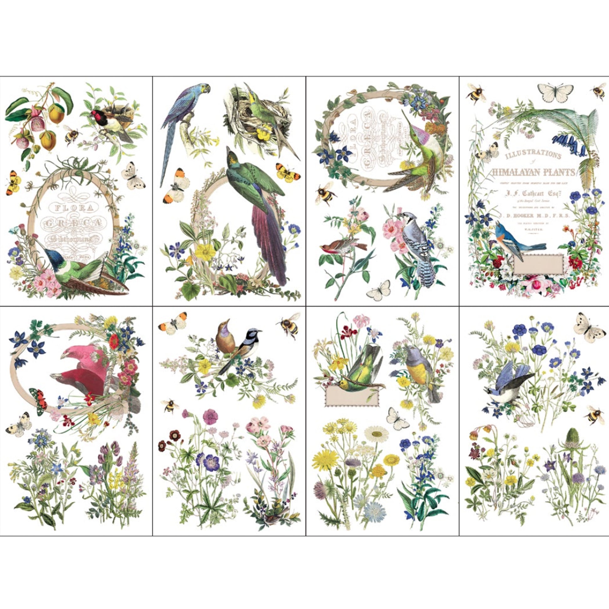 IOD Flora Greca Decor Transfer by Iron Orchid Designs Spring 2026