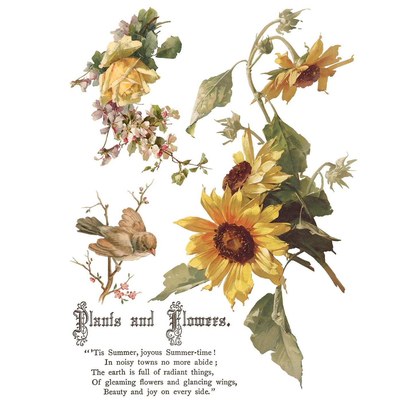 IOD Flowers By The Poets Decor Transfer by Iron Orchid Designs