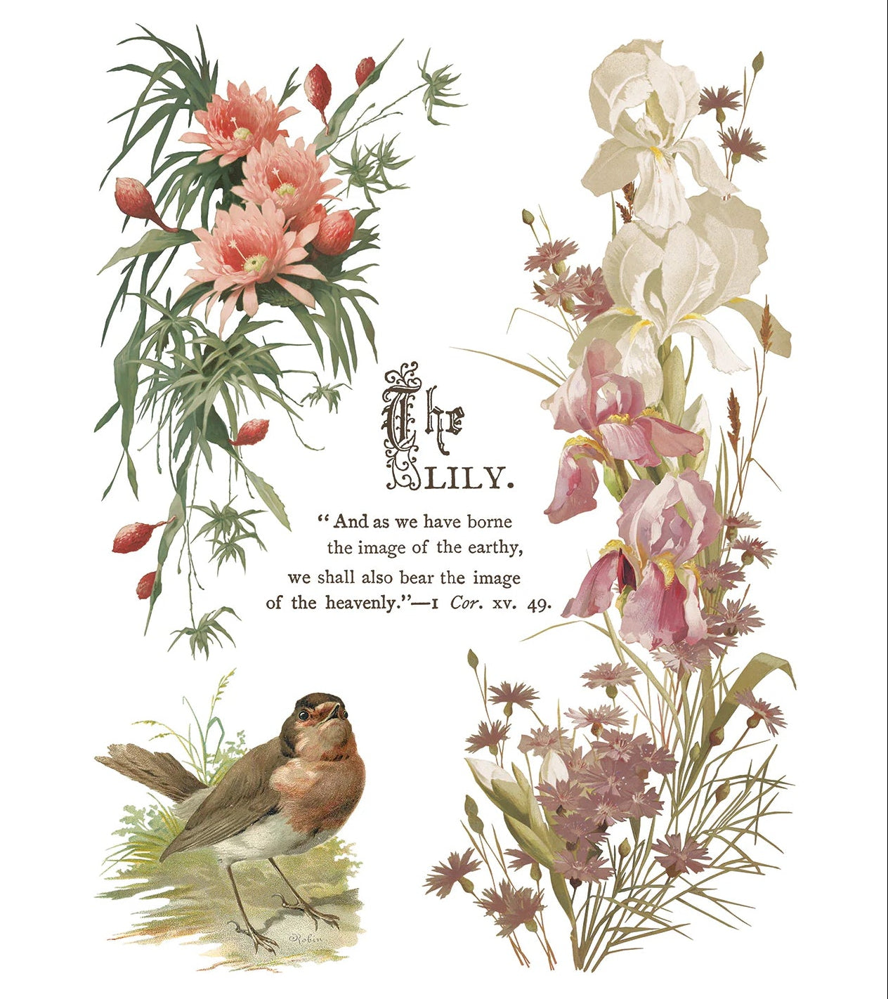 IOD Flowers By The Poets Decor Transfer by Iron Orchid Designs