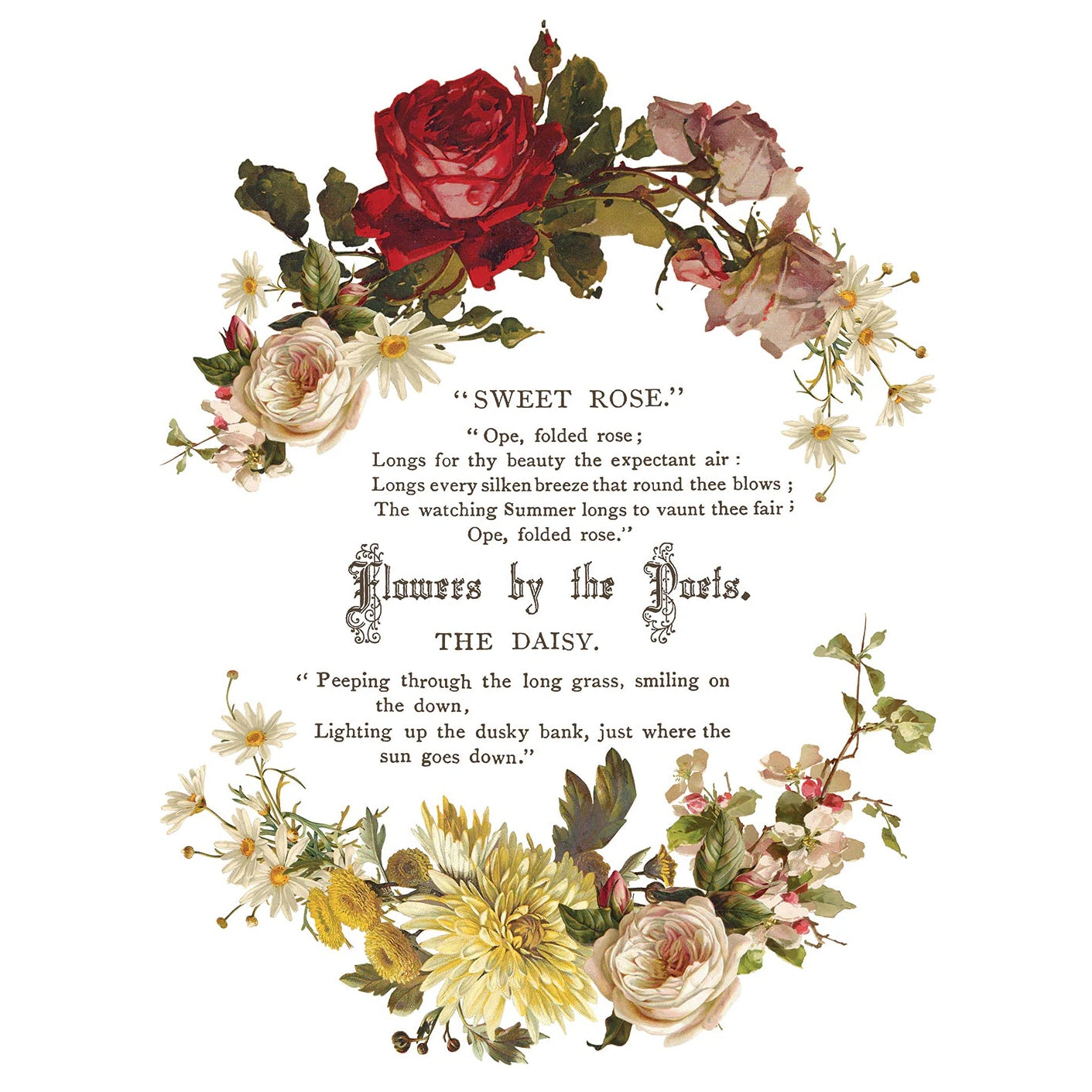IOD Flowers By The Poets Decor Transfer by Iron Orchid Designs