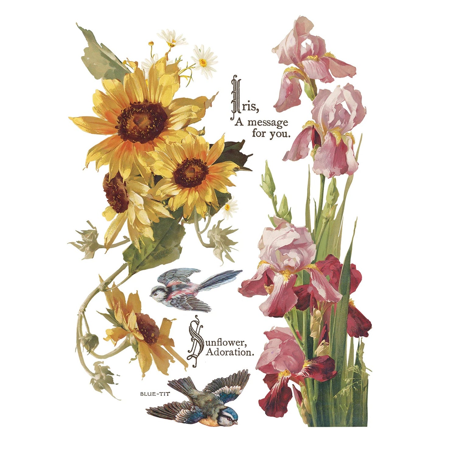 IOD Flowers By The Poets Decor Transfer by Iron Orchid Designs