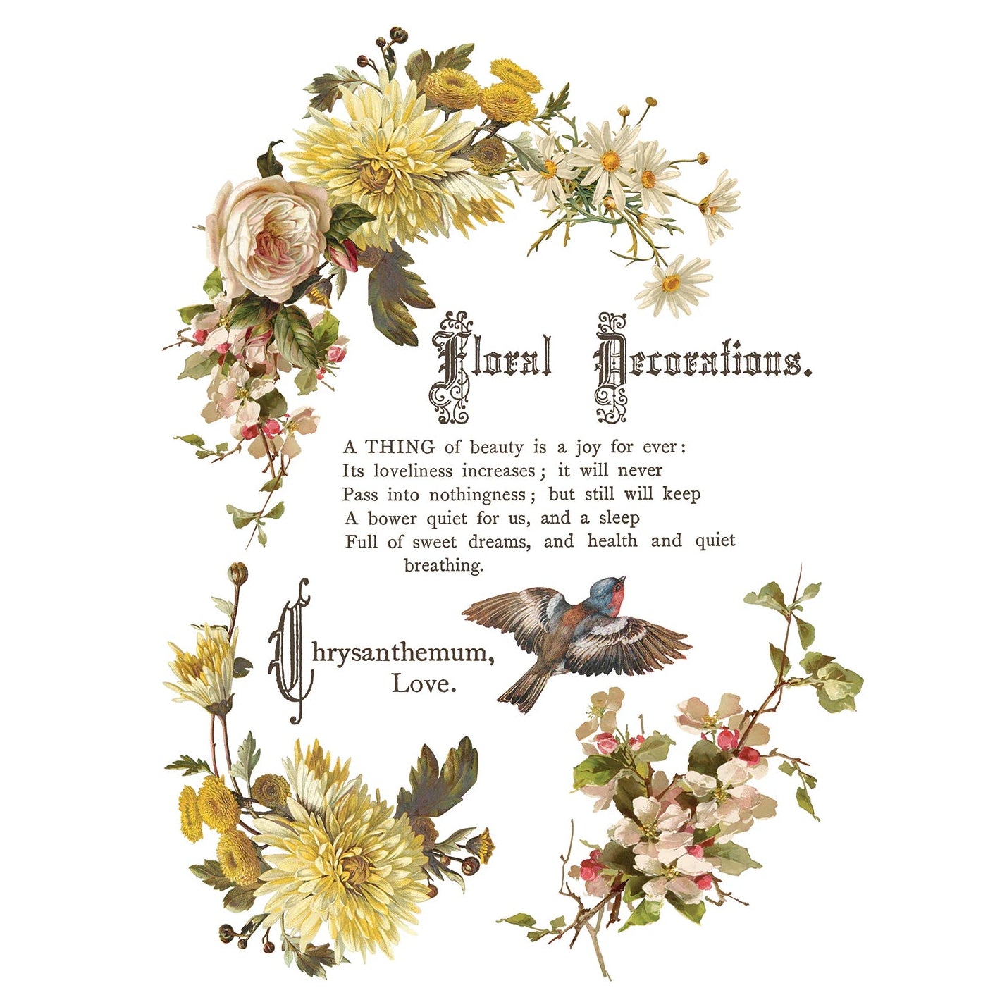 IOD Flowers By The Poets Decor Transfer by Iron Orchid Designs