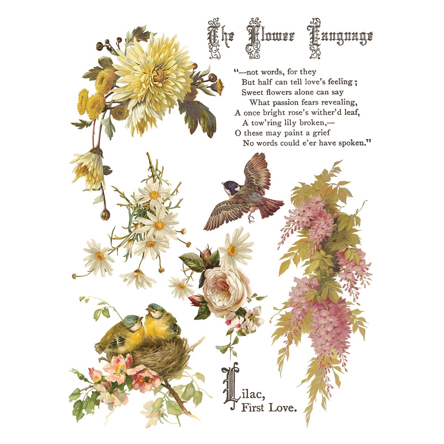 IOD Flowers By The Poets Decor Transfer by Iron Orchid Designs