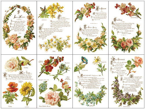 IOD Lover of Flowers Decor Transfer - Iron Orchid Designs