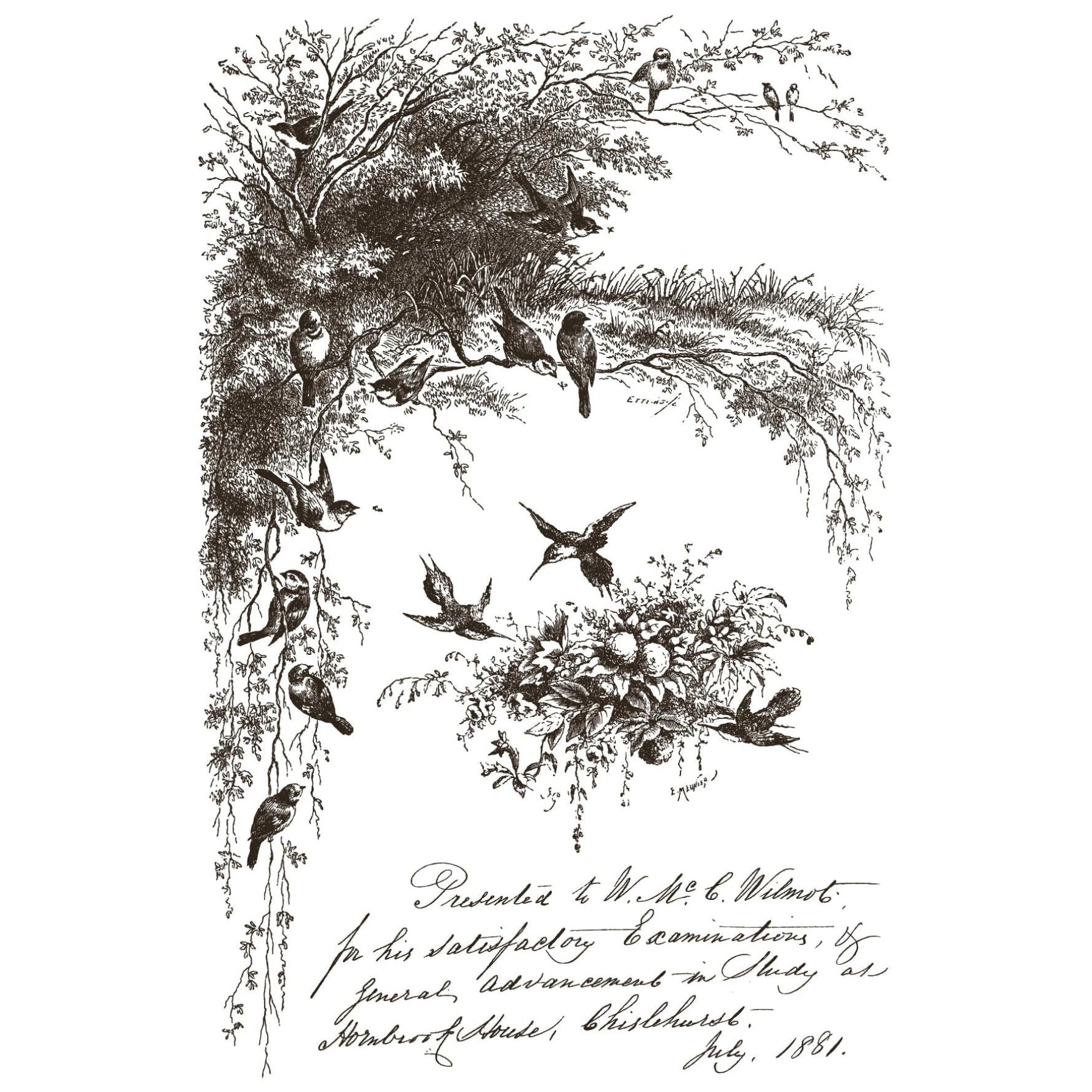 IOD Little Lark Paint Inlay by Iron Orchid Designs - Summer 2026