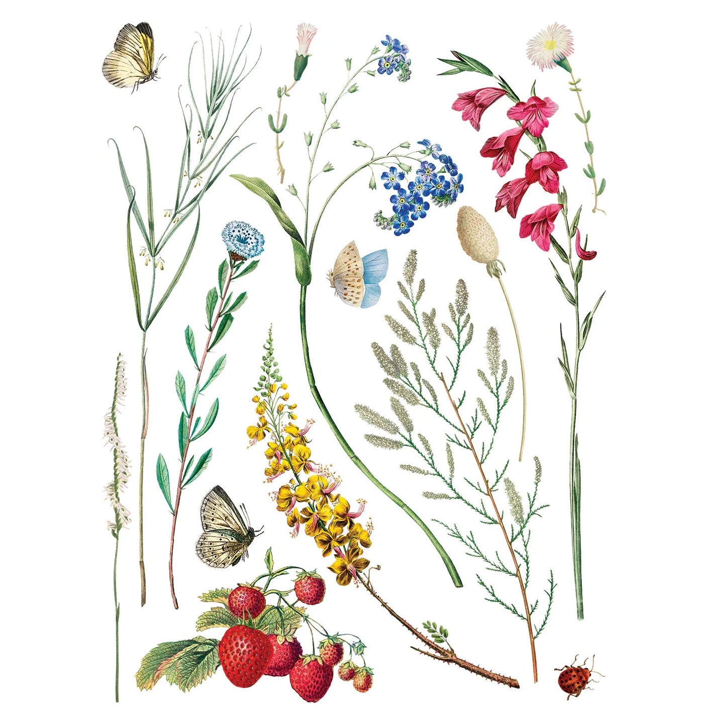 IOD Marche Des Fleurs Decor Transfer by Iron Orchid Designs - 8 Sheets