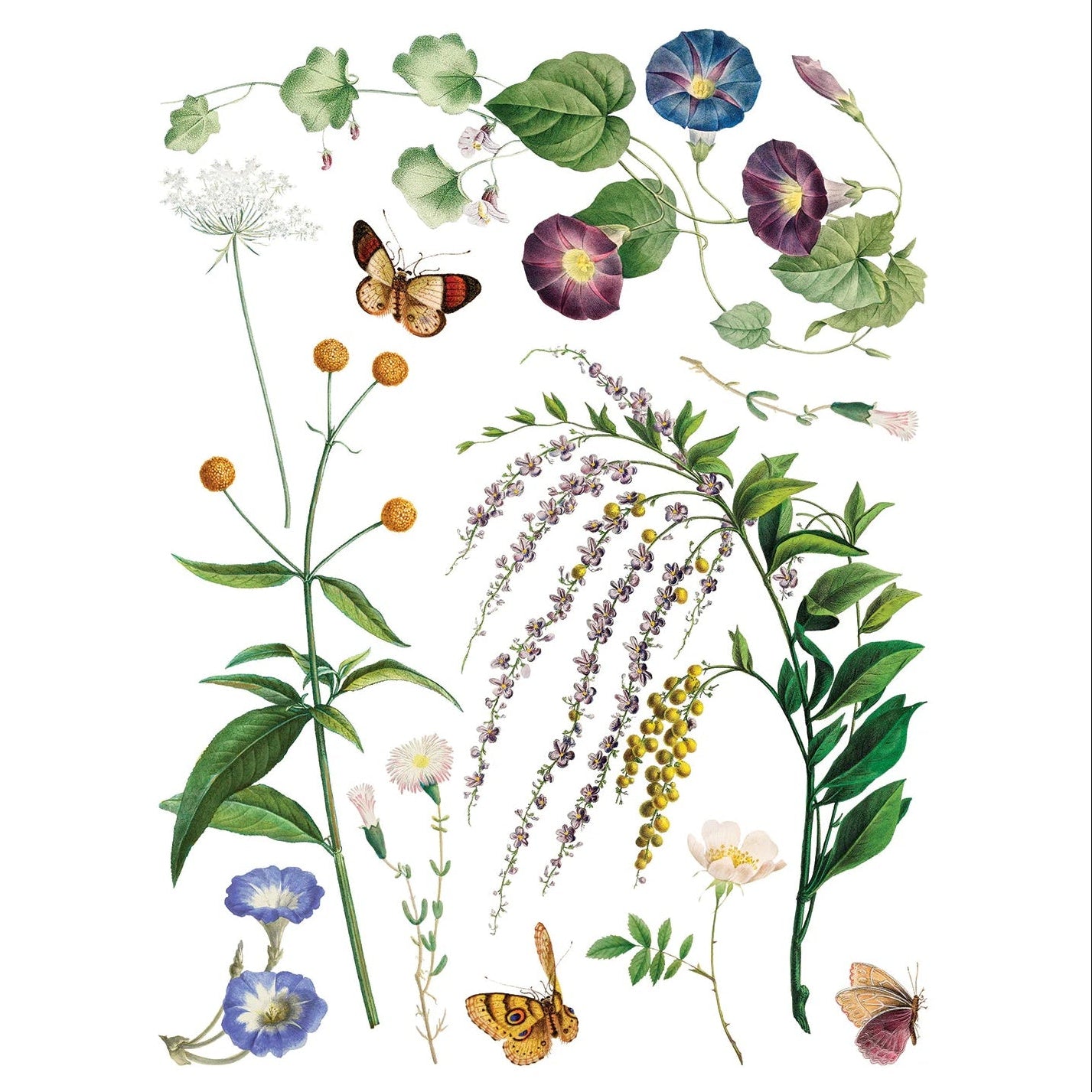 IOD Marche Des Fleurs Decor Transfer by Iron Orchid Designs - 8 Sheets