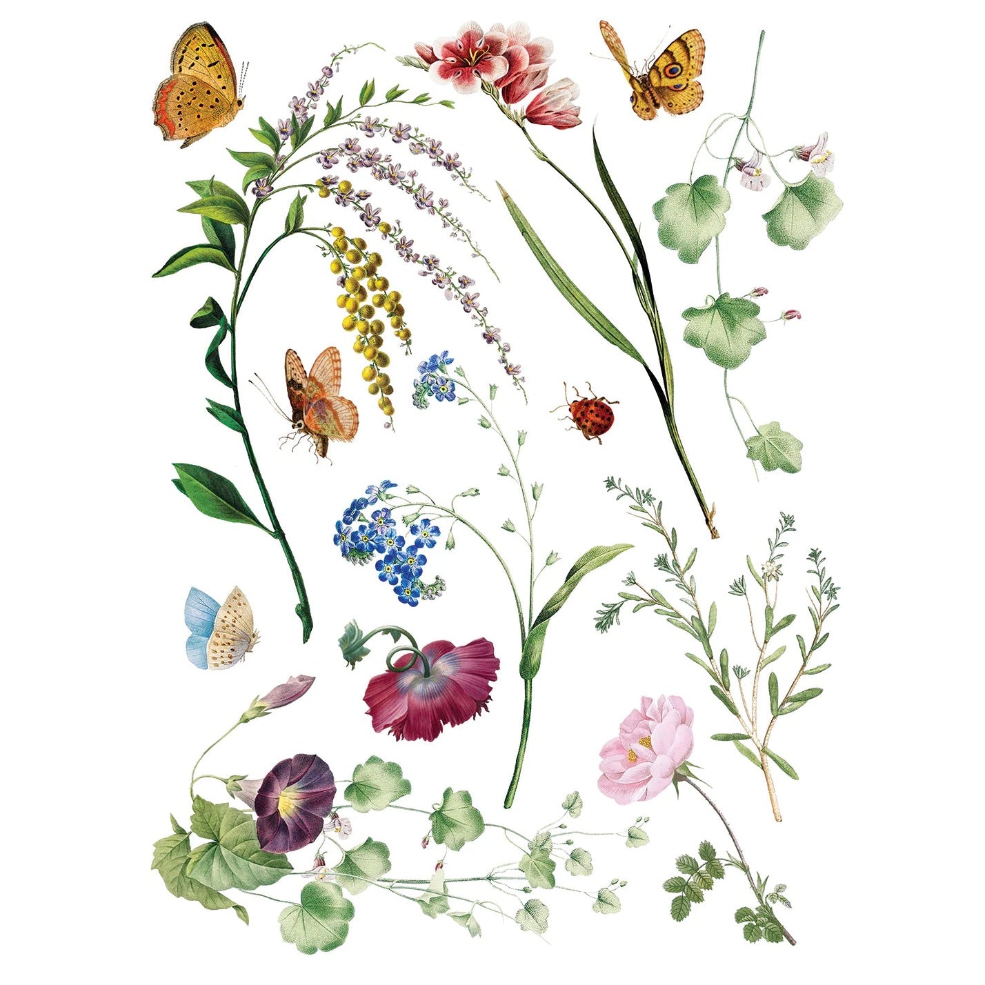 IOD Marche Des Fleurs Decor Transfer by Iron Orchid Designs - 8 Sheets